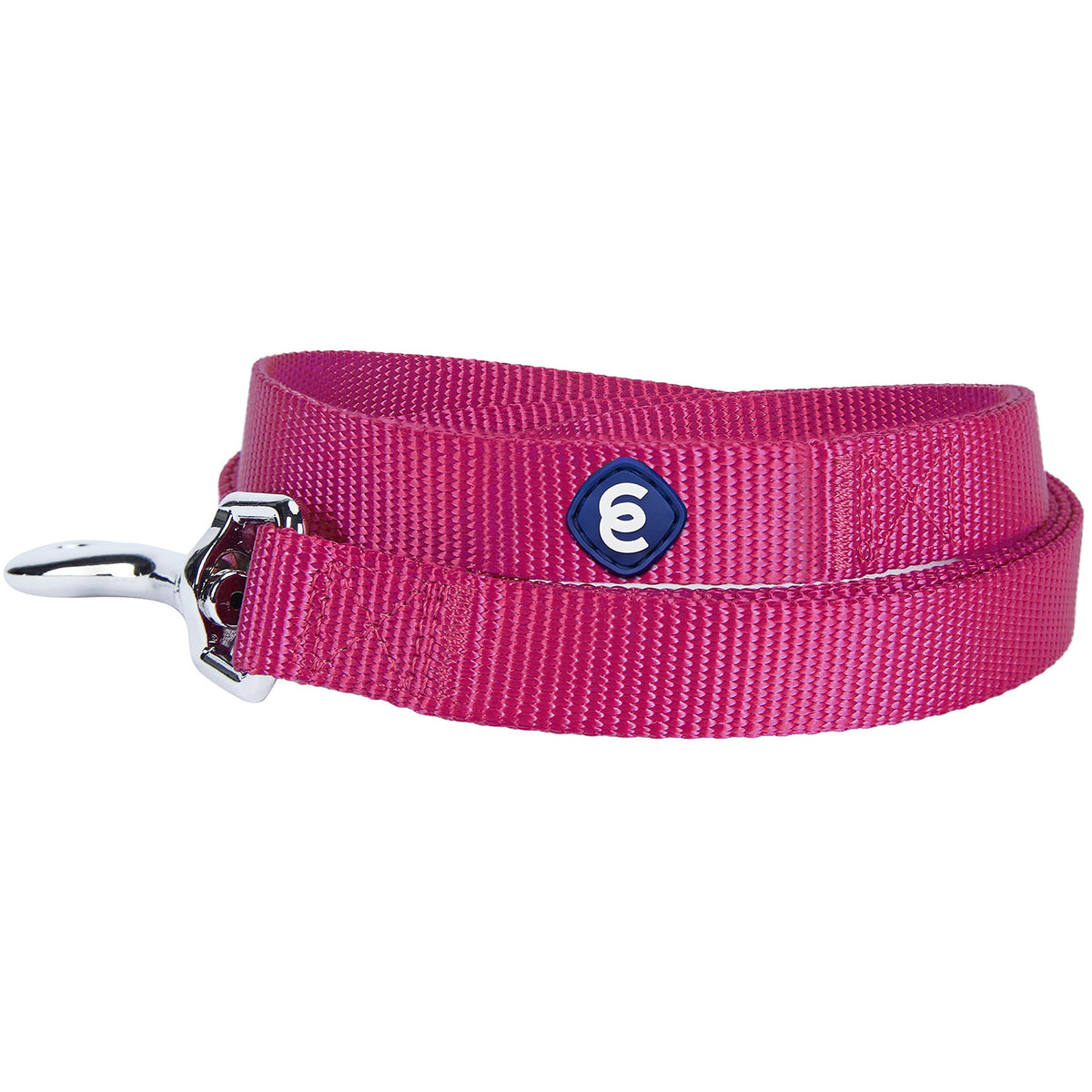 Blueberry Pet Essentials 21 Colors Durable Classic Dog Leash 5 Ft X 5/8', Very Berry, Small, Basic Nylon Leashes For Dogs