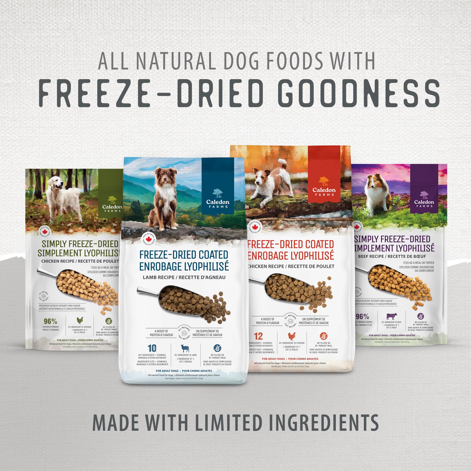 Caledon Farms Freeze-Dried Coated Lamb Recipe Premium Dry Dog Food 3.9lb