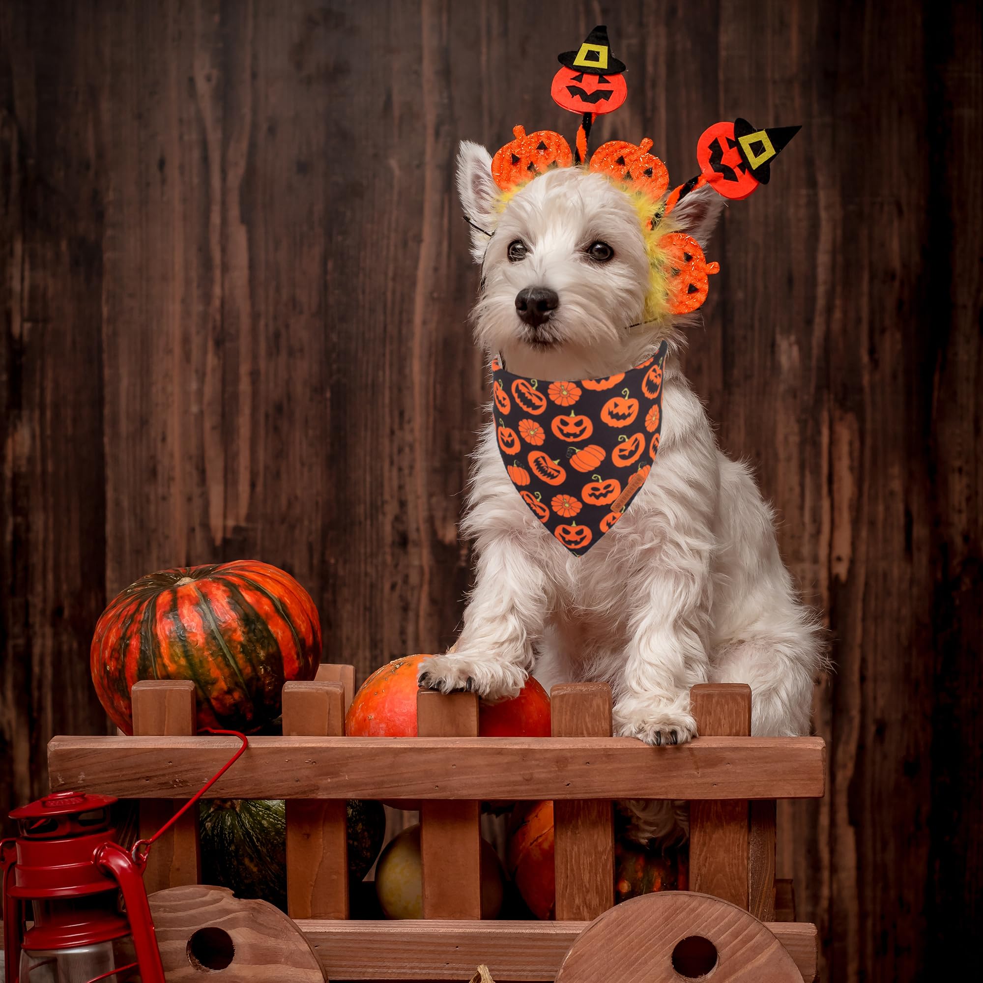 Adoggygo Halloween Dog Bandana, Pumpkin Bat Design Dog Scarf, Premium Durable Fabric, Orange Black Dog Halloween Bandanas For Small Dogs Cats Puppies (Small, Halloween)