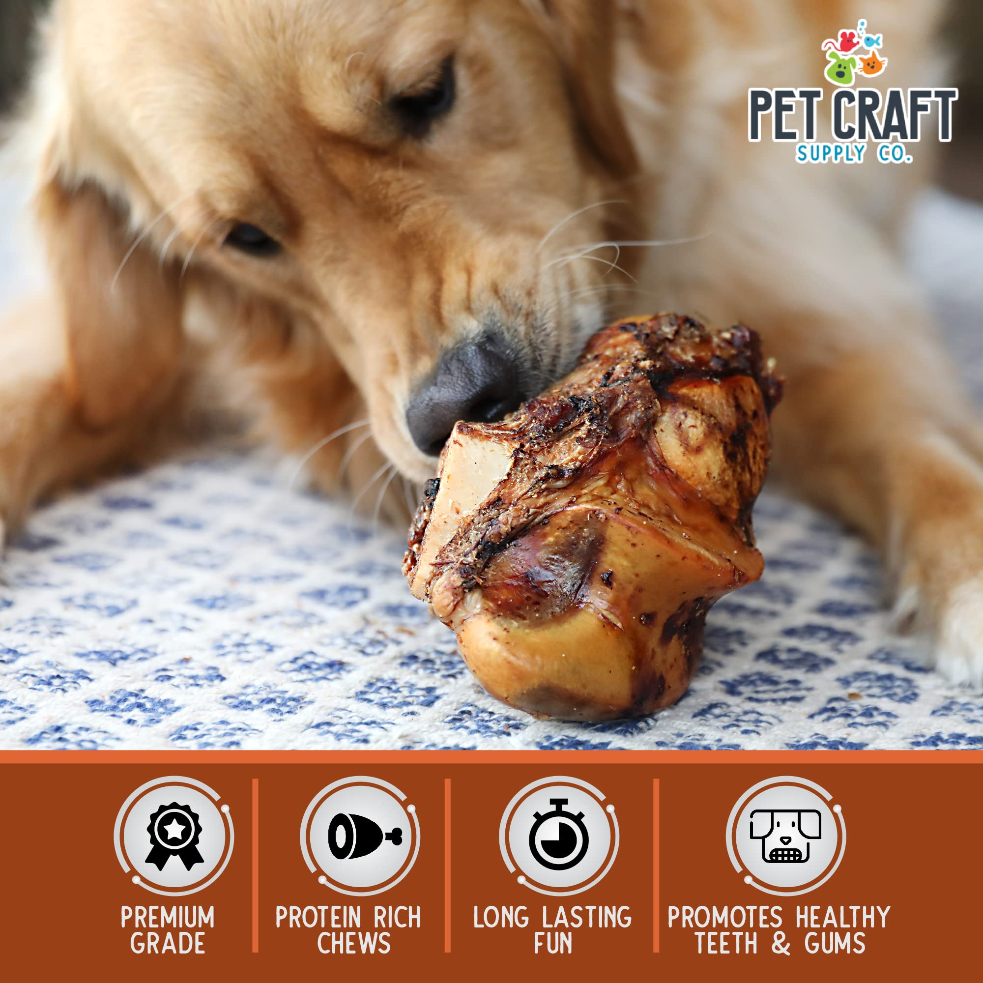 Pet Craft Supply ALL Natural Healthy Buffalo Femur Center Knuckle Bones Dog Chews Treats for Aggressive Chewers Long Lasting Raw