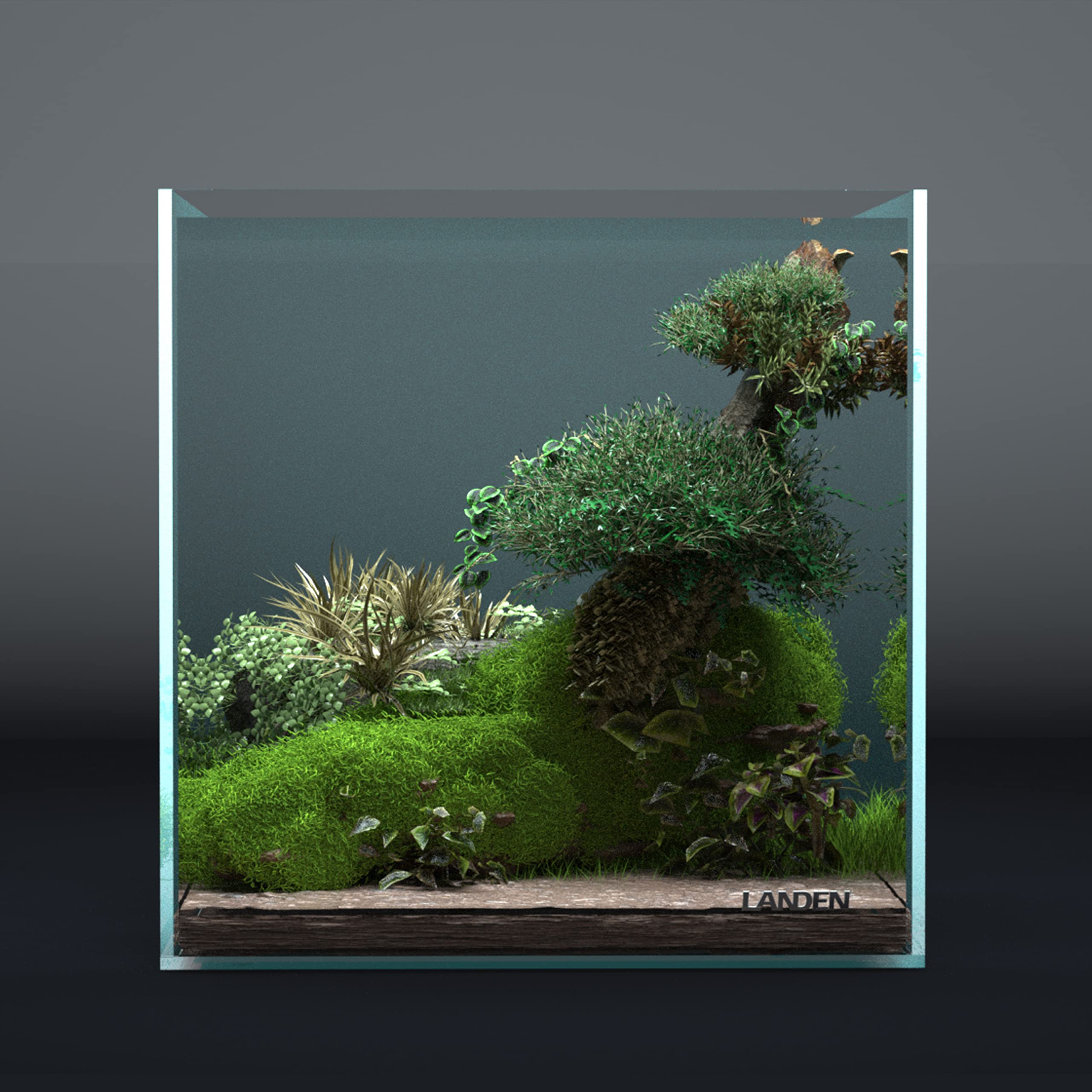 Landen 30C 6.6 Gallon Rimless Low Iron Aquarium Tank, W11.8  D11.8  H11.8 in(30x30x30cm) 5mm Thickness with Nano Foam Leveling M