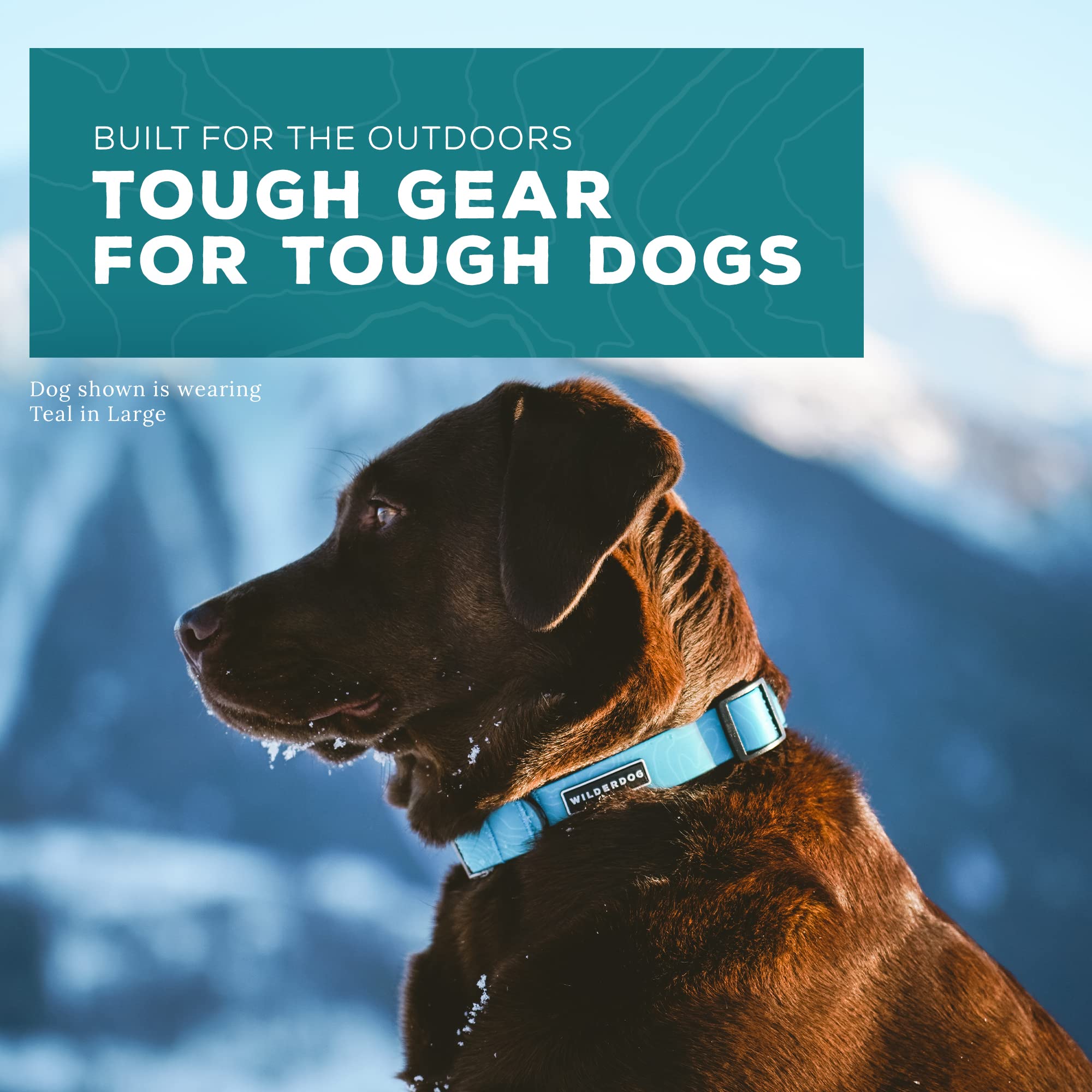 Wilderdog Waterproof Dog Collar - Repels Water & Dirt - Small 11''-15'' - Teal