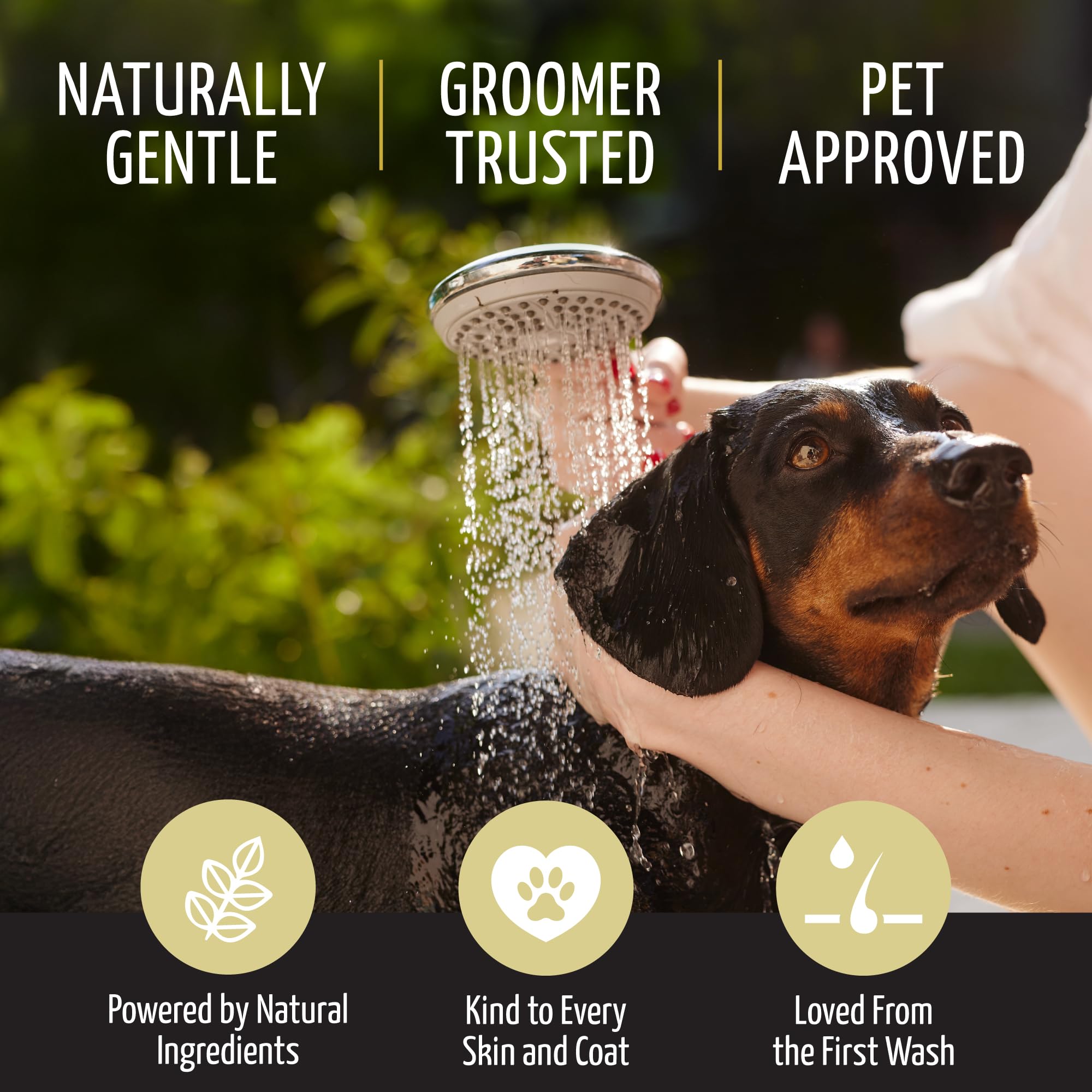 Tauro Proline Pure Nature Delicate Puppy Sulfate Parabens Sls Free Natural Composition Gentle Puppy Conditioner With Essential O