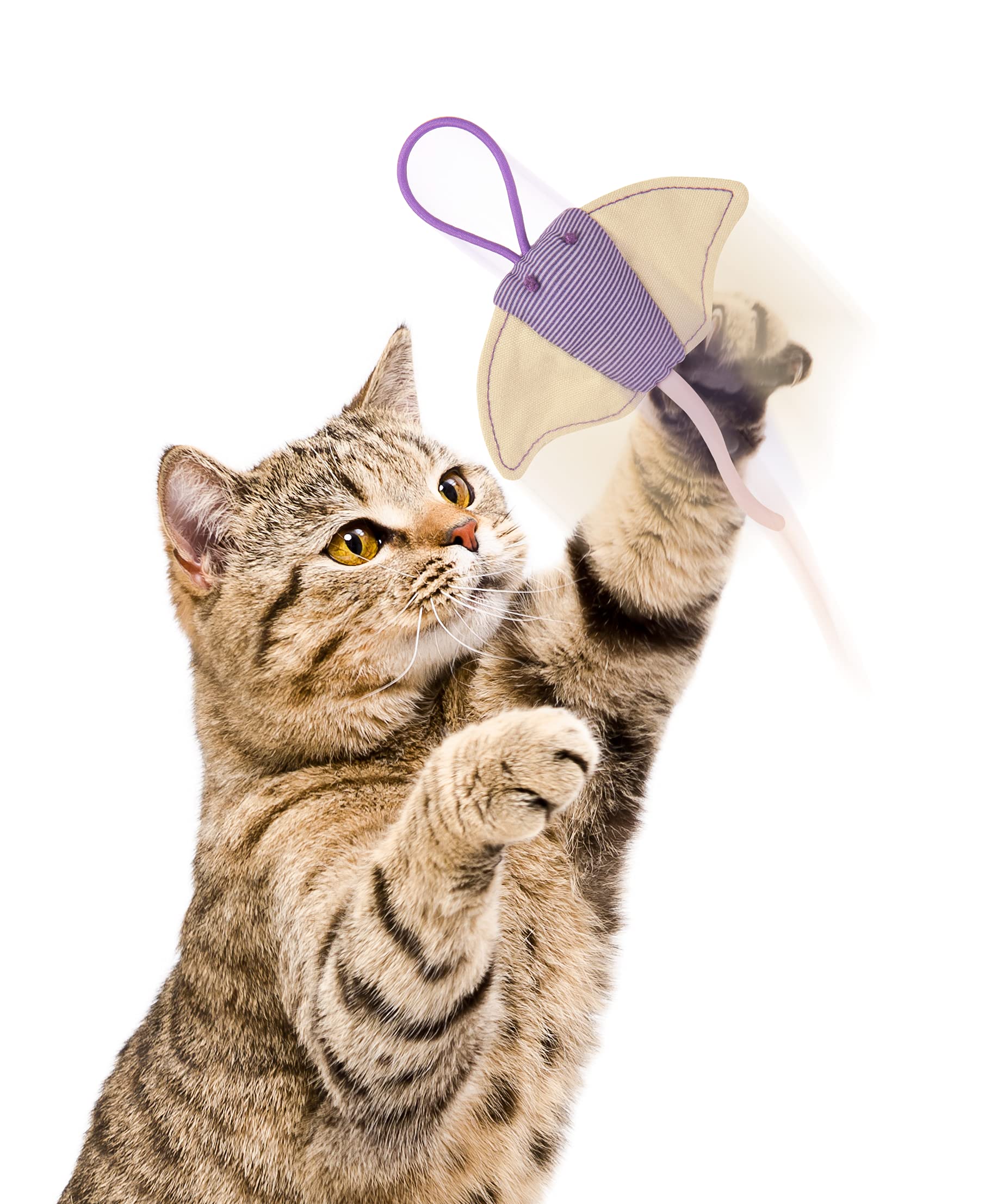 Petlinks Ray Flyer Stingray Launcher Catnip Cat Toy - Purple, One Size