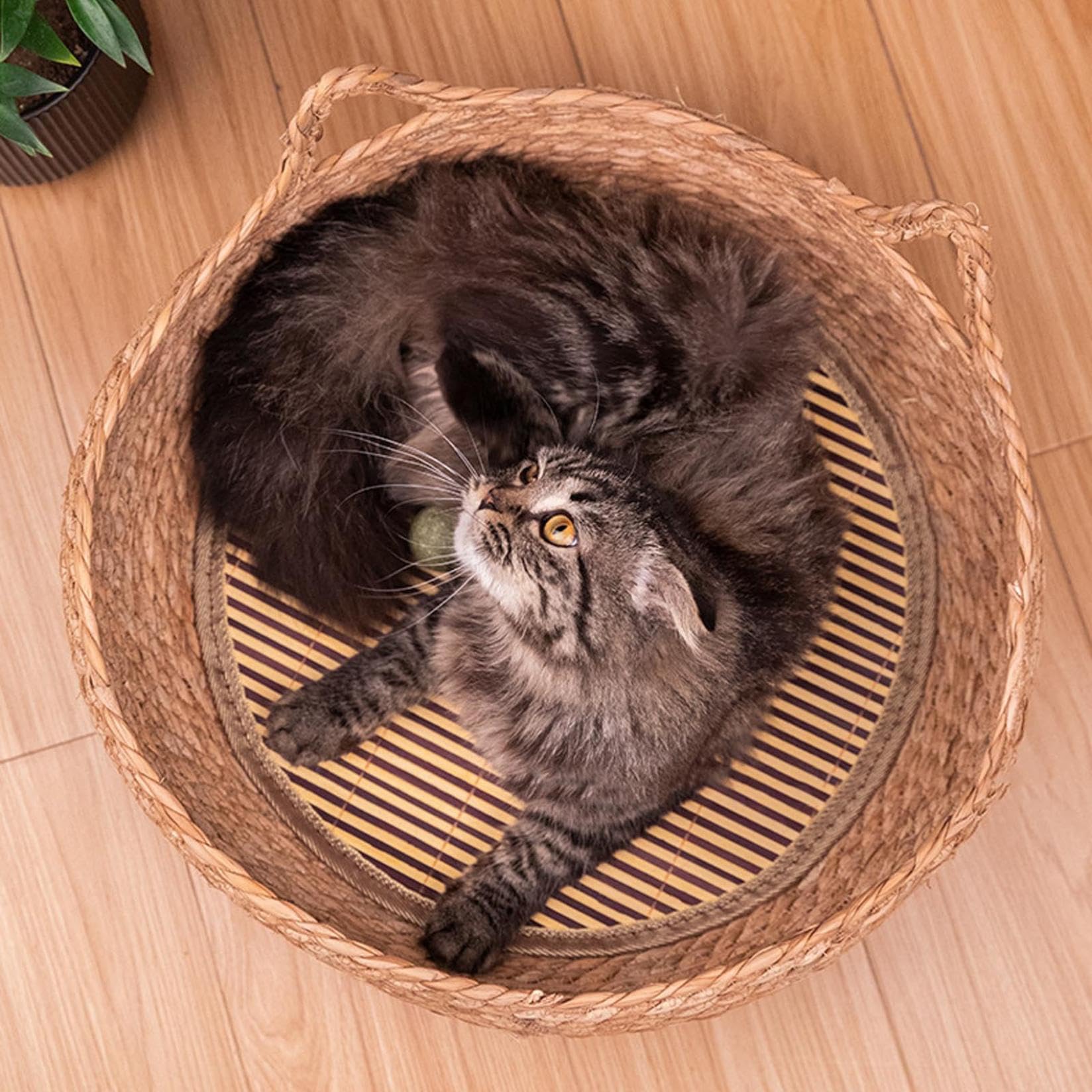 Woven Straw Cat Nest - Handmade Wicker Pet Bed For Cats & Dogs | Rattan Basket With Durable, Cool & Furniture Protective Design