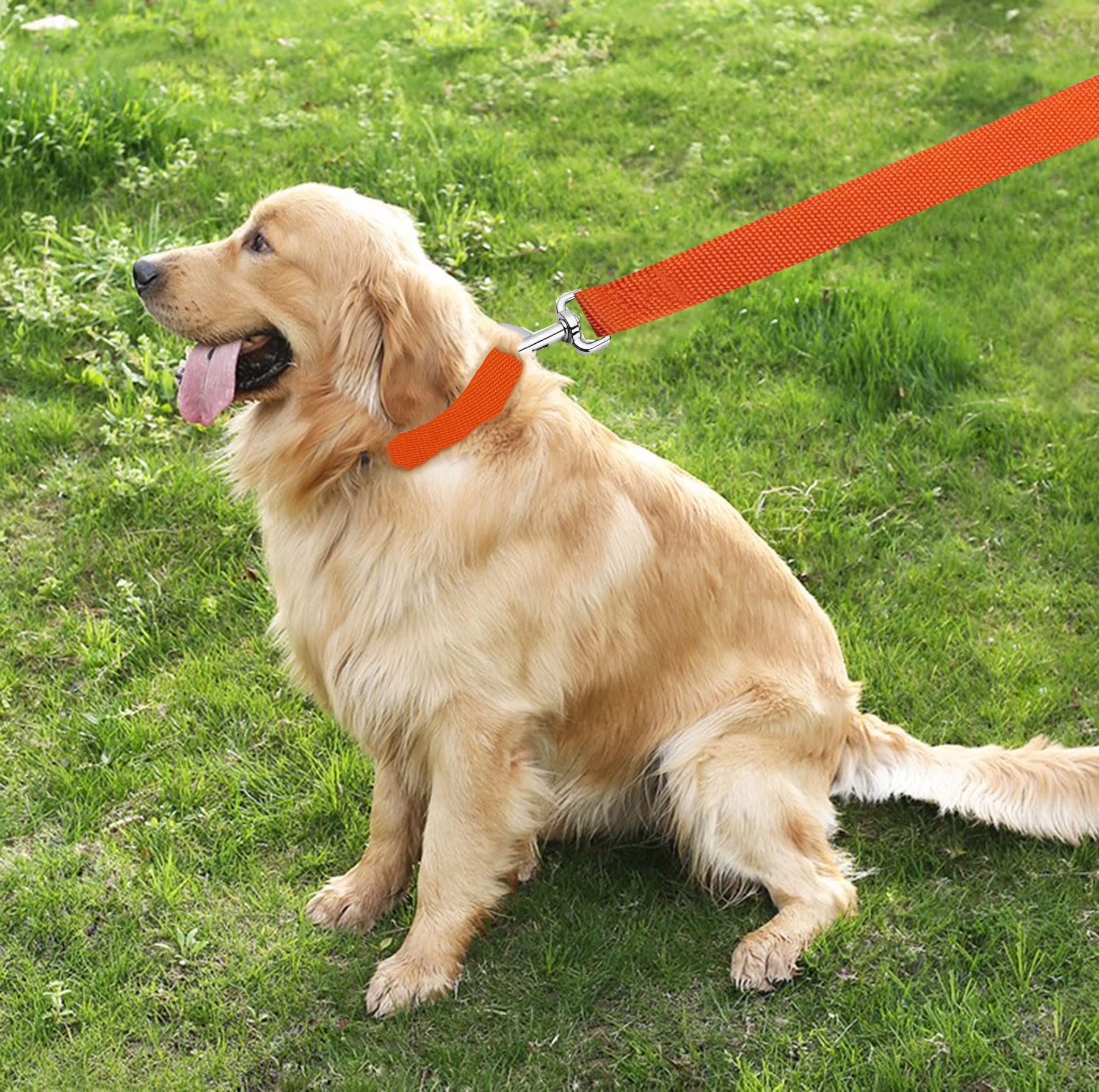 Taian 4Ft/5Ft/6Ft Strong Dog Leash, Nylon Dog Leashes For Small Medium Large Dogs (Orange, 1 In X 10 Ft)