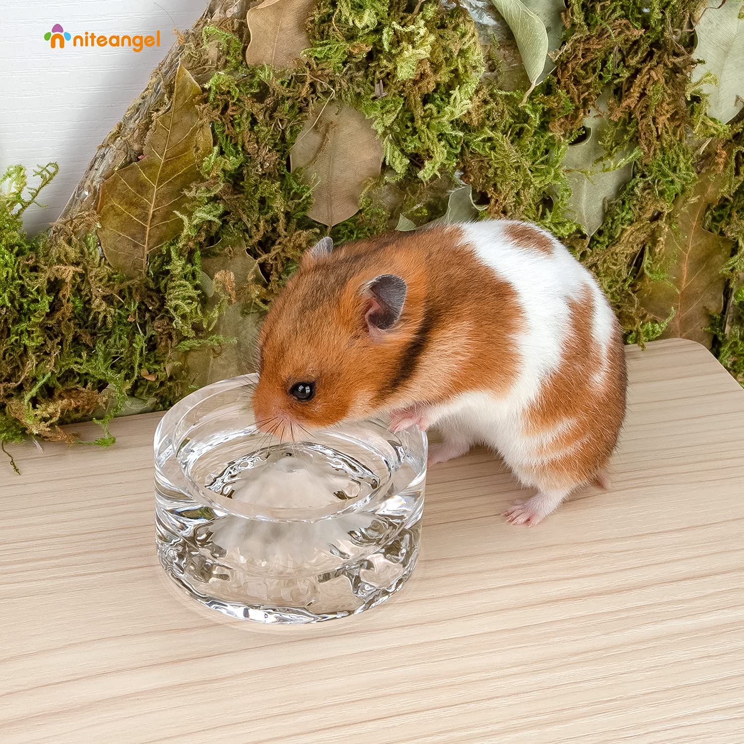 Niteangel Hamster Feeding & Water Bowls- Mount Fuji Series Glass Drinking Bowls for Dwarf Syrian Hamsters Gerbils Mice Rats or O