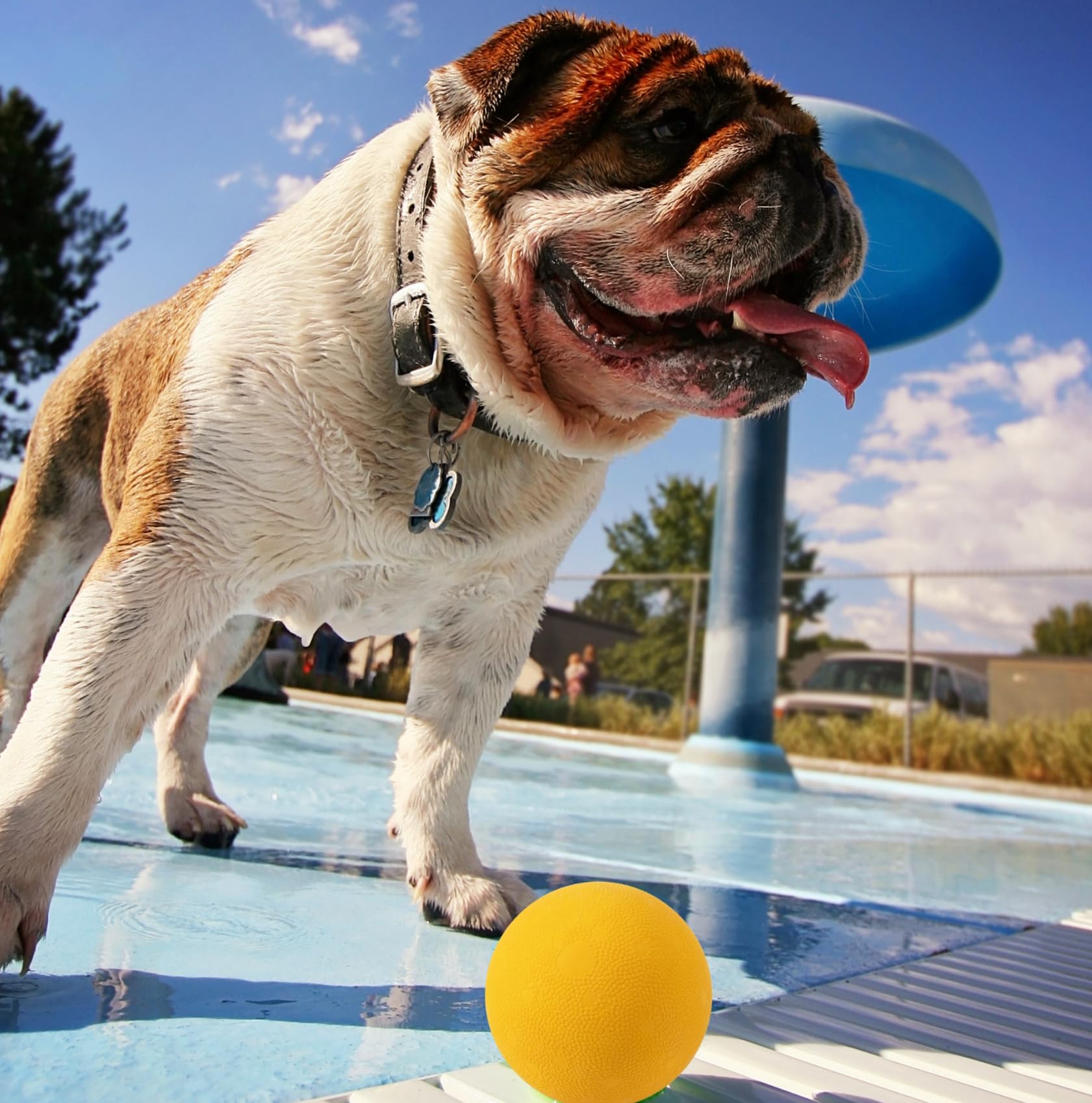 Ollydog Happy Camper Ball, Solid Rubber Bouncy Ball For Dog Aggressive Chewers, Natural Rubber, For Dogs Under 50Lbs, 2.5 Inches