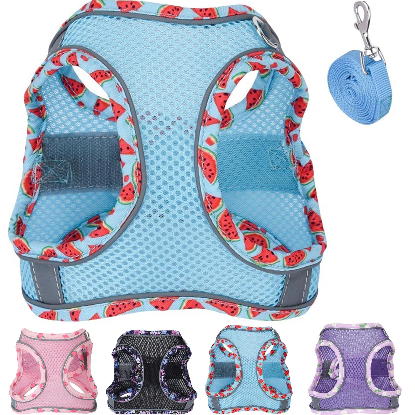 Petank Dog Harness for Small Medium Dogs No Pull, Puppy Harness and Leash Set, Mesh Adjustable Breathable Light Vest for Walking