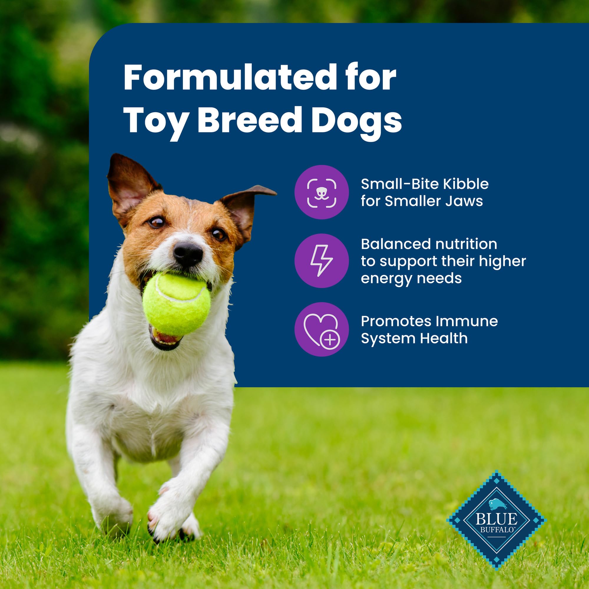 Blue Buffalo Life Protection Formula Toy Breed Adult Dry Dog Food, Supports High Energy Needs, Made with Natural Ingredients, Ch