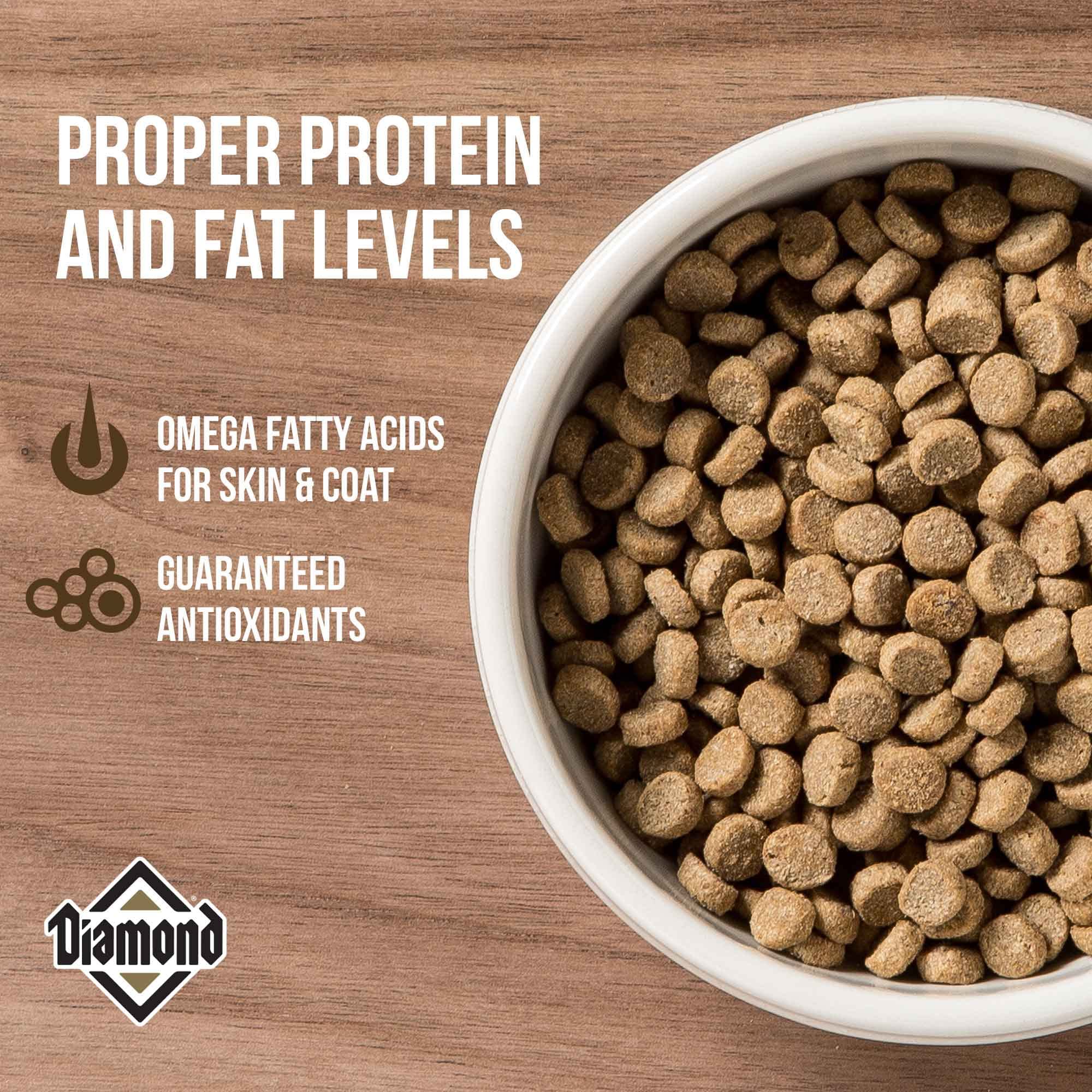 Diamond Adult Dry Cat Food Maintenance Formula with High Quality Protein, Probiotics and Antioxidants