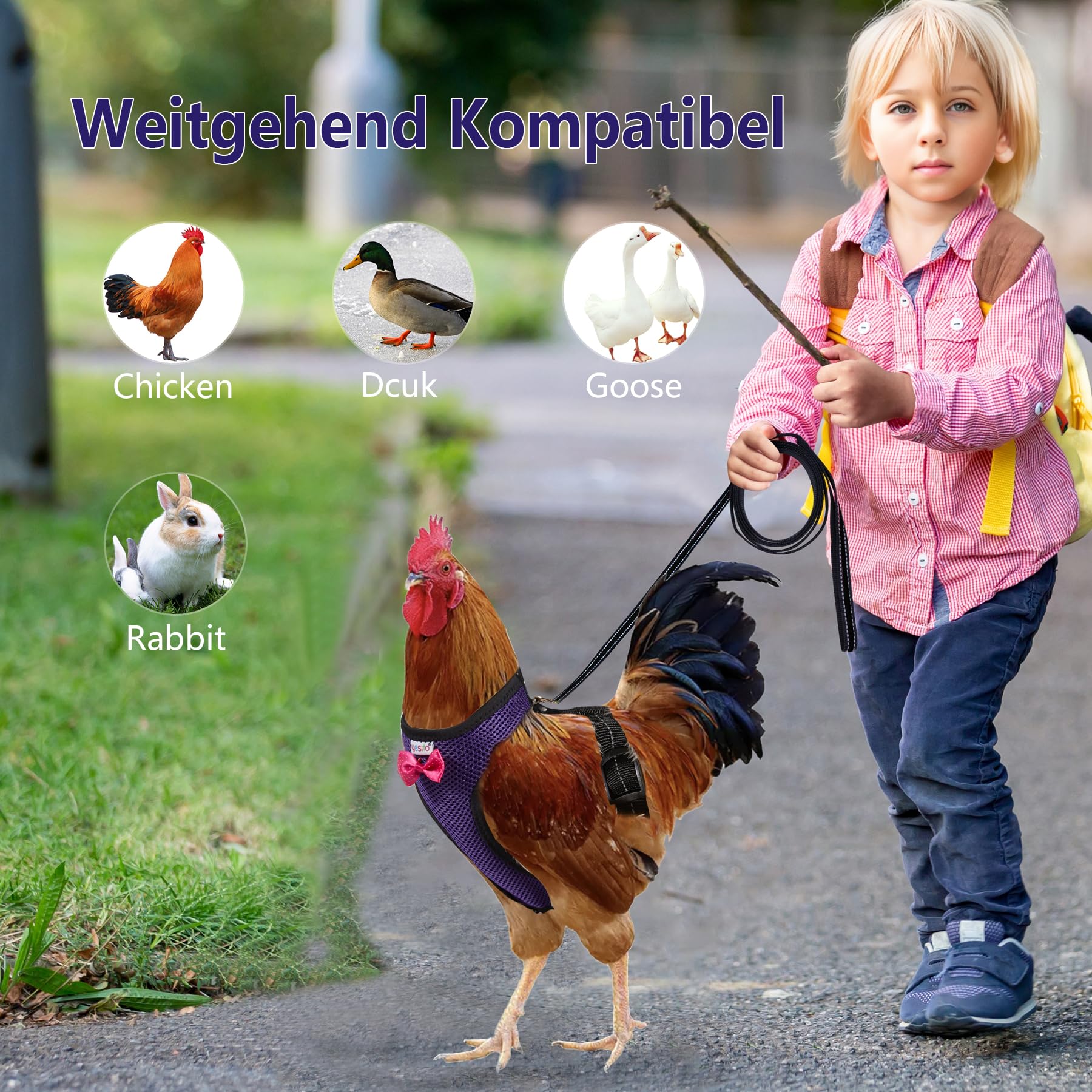 Yesito Chicken Harness Hen Size with 5.5-Foot Matching Belt
