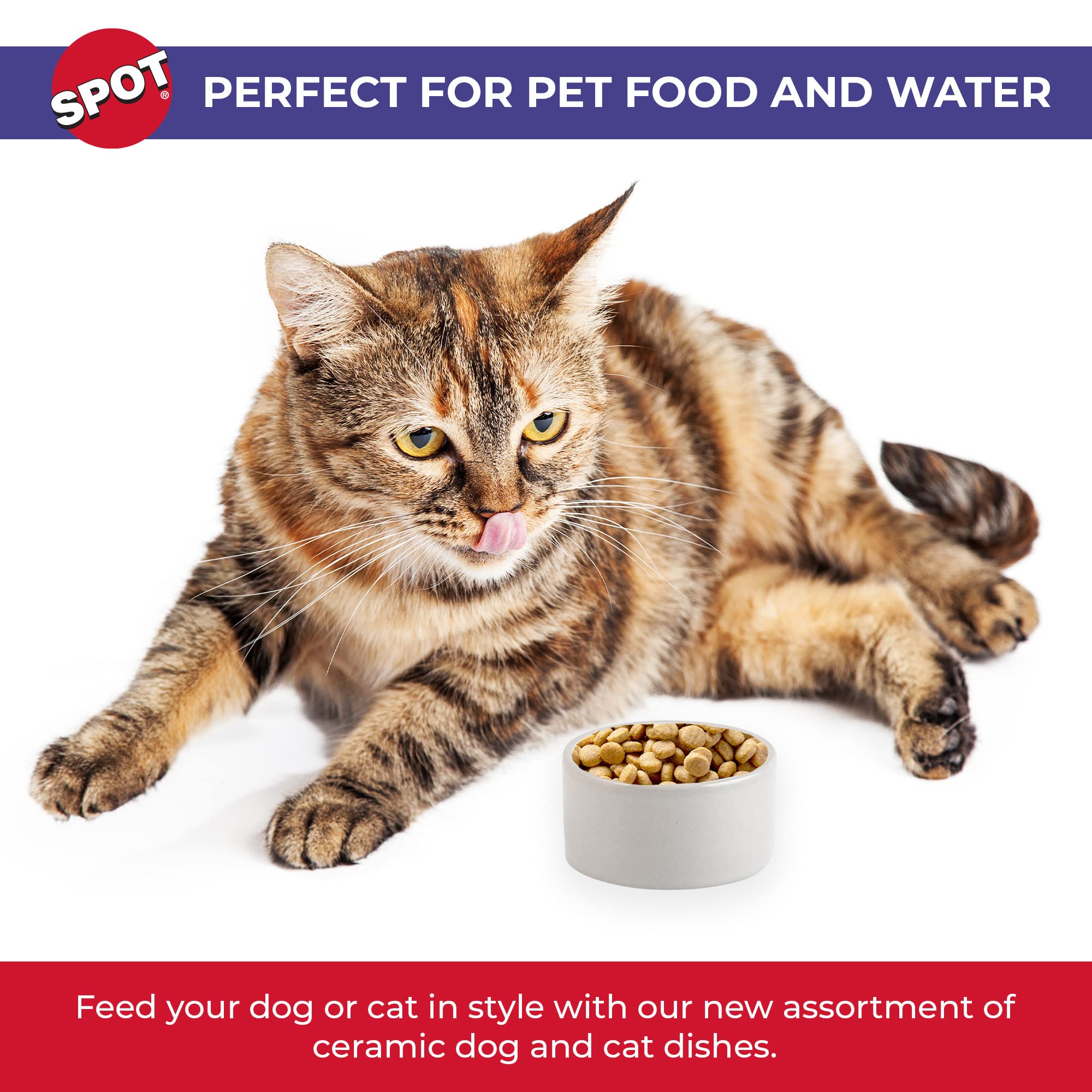SPOT Ceramic Stoneware- Pet Bowl for Cats, Kittens and Mini Dogs, Classic Heavy Duty Non-Slip Ceramic Bowl for Food and Water -2