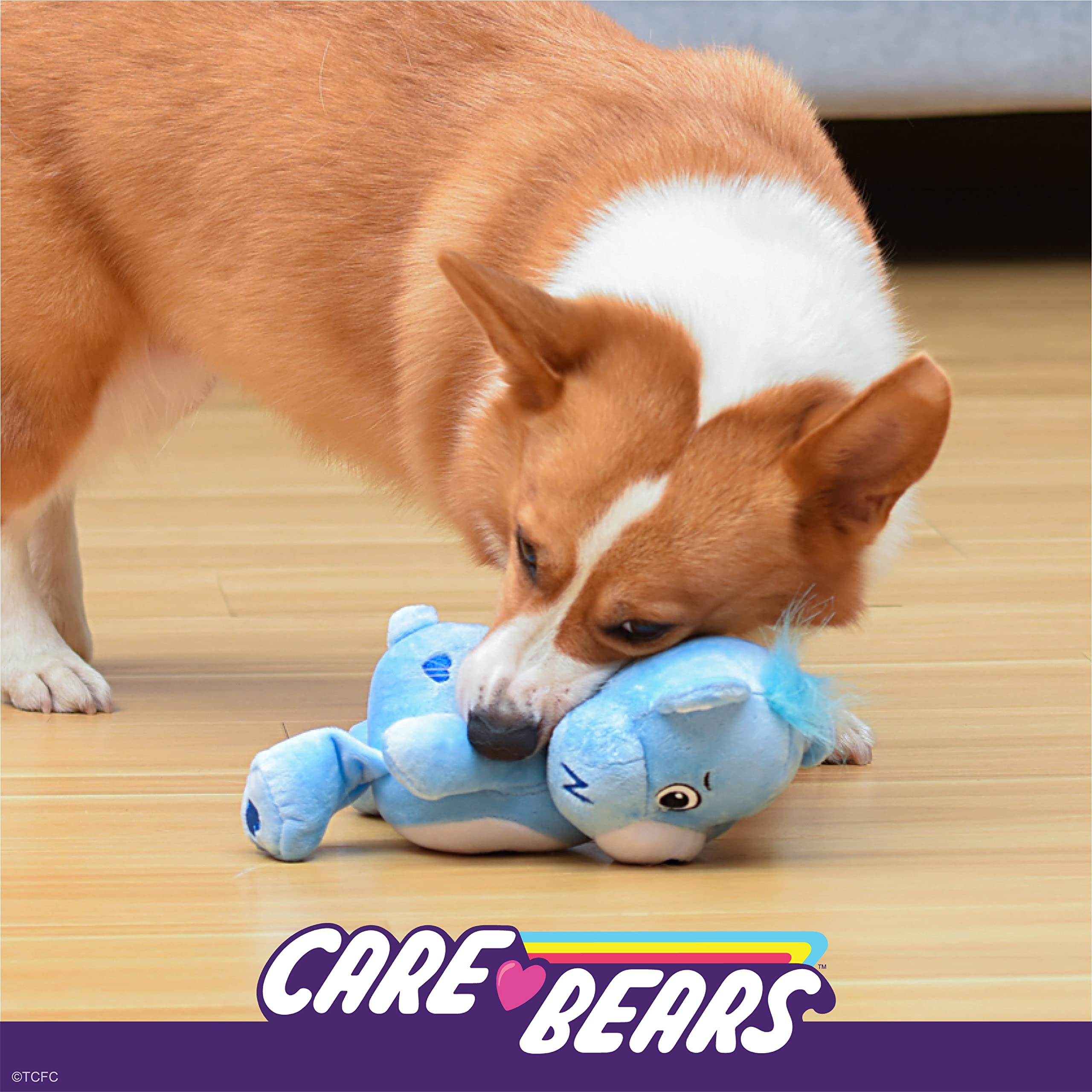 Care Bear For Pets Pet Plush Squeaky Toy Grumpy Bear, 6    With Squeaker Inside And Crinkle Ears | Grumpy Bear For Dogs Squeaky
