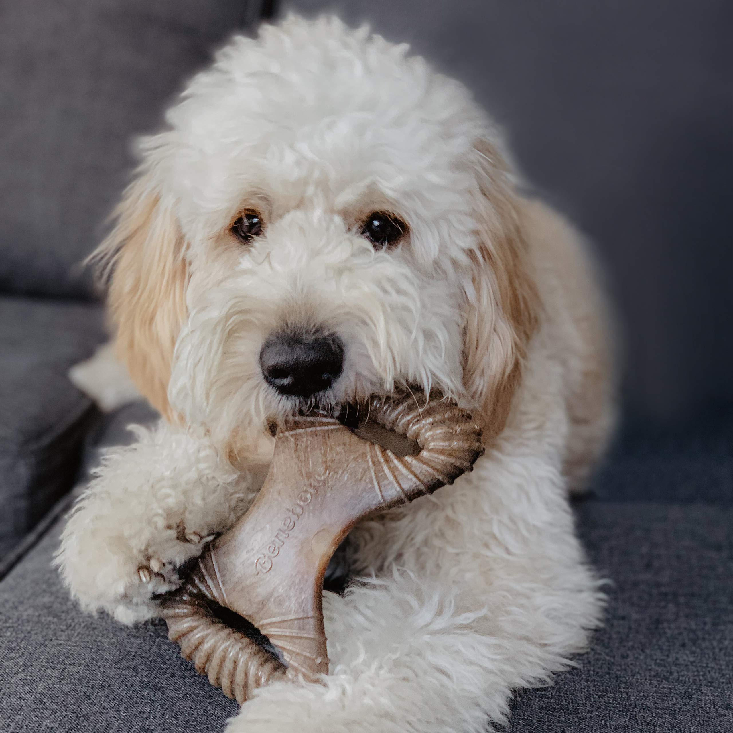 Benebone Dental Durable Dog Chew Toy For Aggressive Chewers, Real Peanut, Made In Usa, Medium