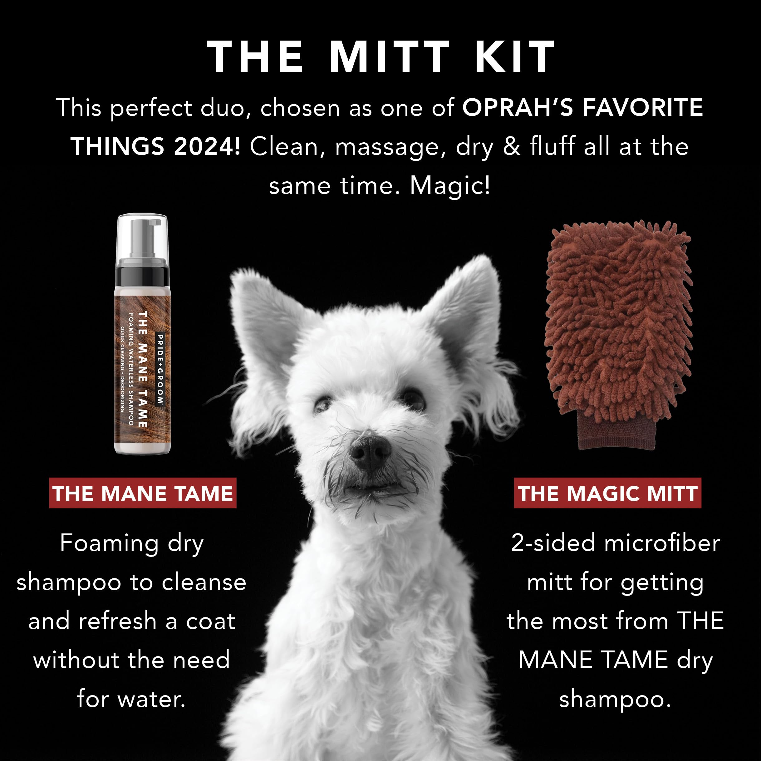 PRIDE AND GROOM Waterless Dog Bath MITT KIT - Foaming Dry Shampoo & Sensitive Glove for Rinse-Free Cleanse, Brown