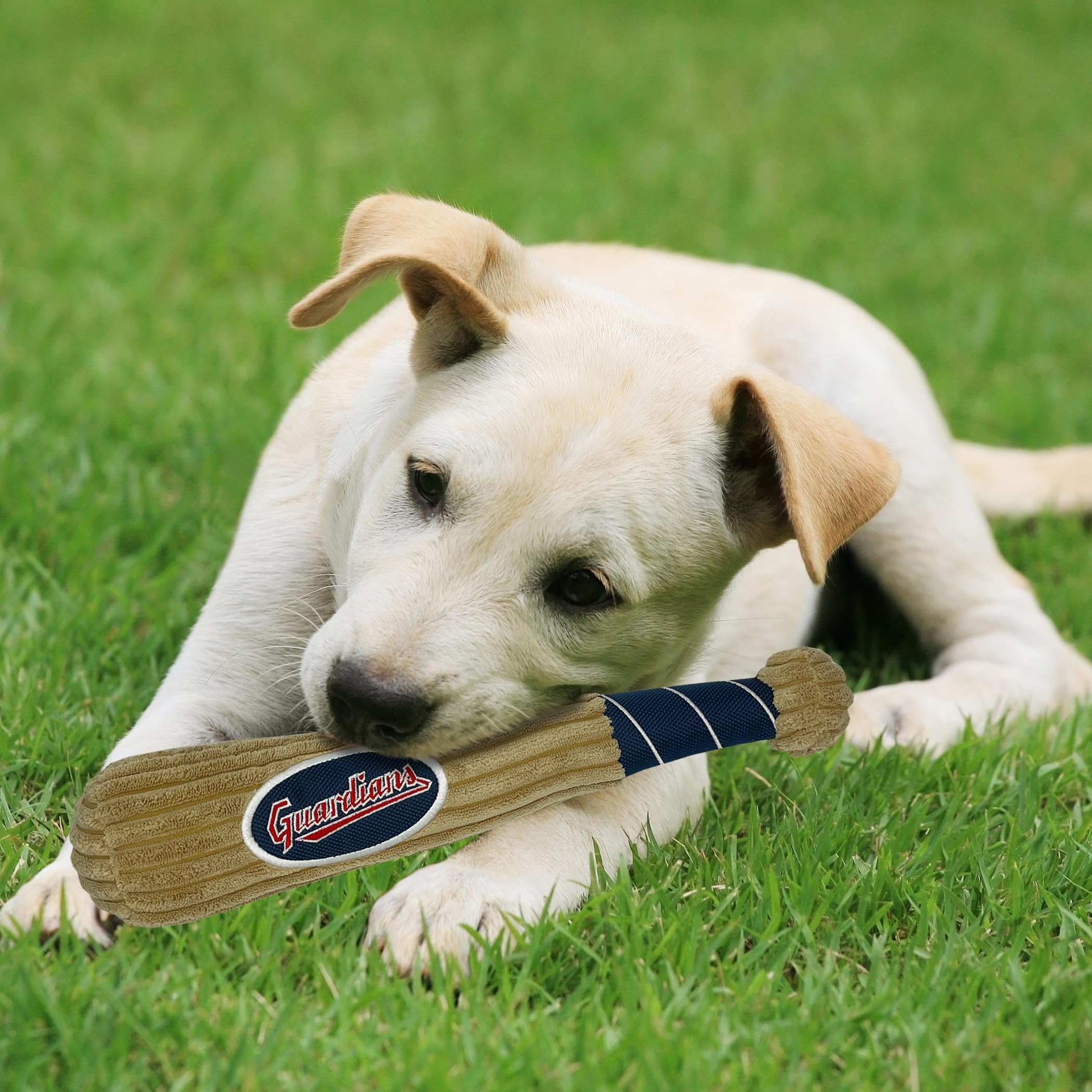 Mlb Cleveland Guardians Baseball Bat Toy For Dogs & Cats. Soft Corduroy Plush Dog Toy With Inner Squeaker, Mlb Chew Toys For Dog