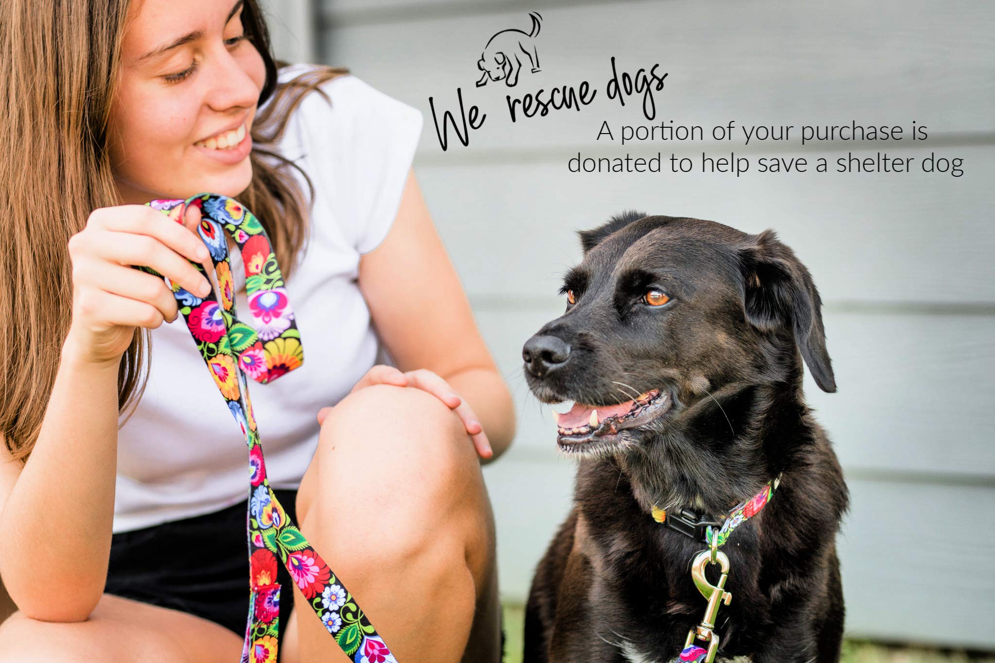 Lucky Love Dog Leash, Beautiful Vivid Patterns, Durable & Long Lasting (Blackbird, Small)