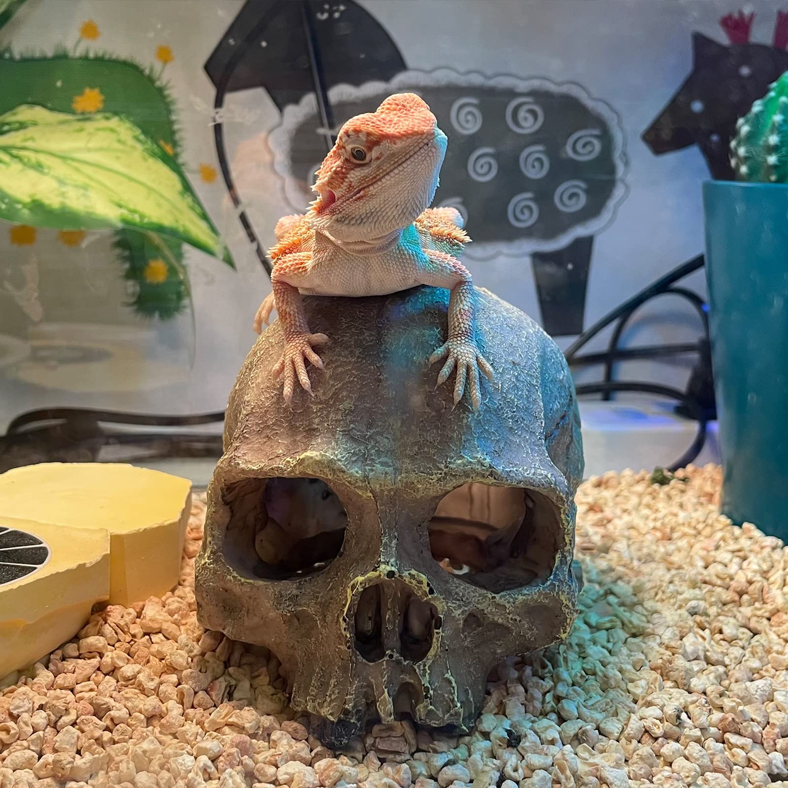 Aufeeky Halloween Human Skull Reptile Hide, Grey Reptile Hides And Caves For Ball Python Leopard Gecko Snake Bearded Dragon Liza