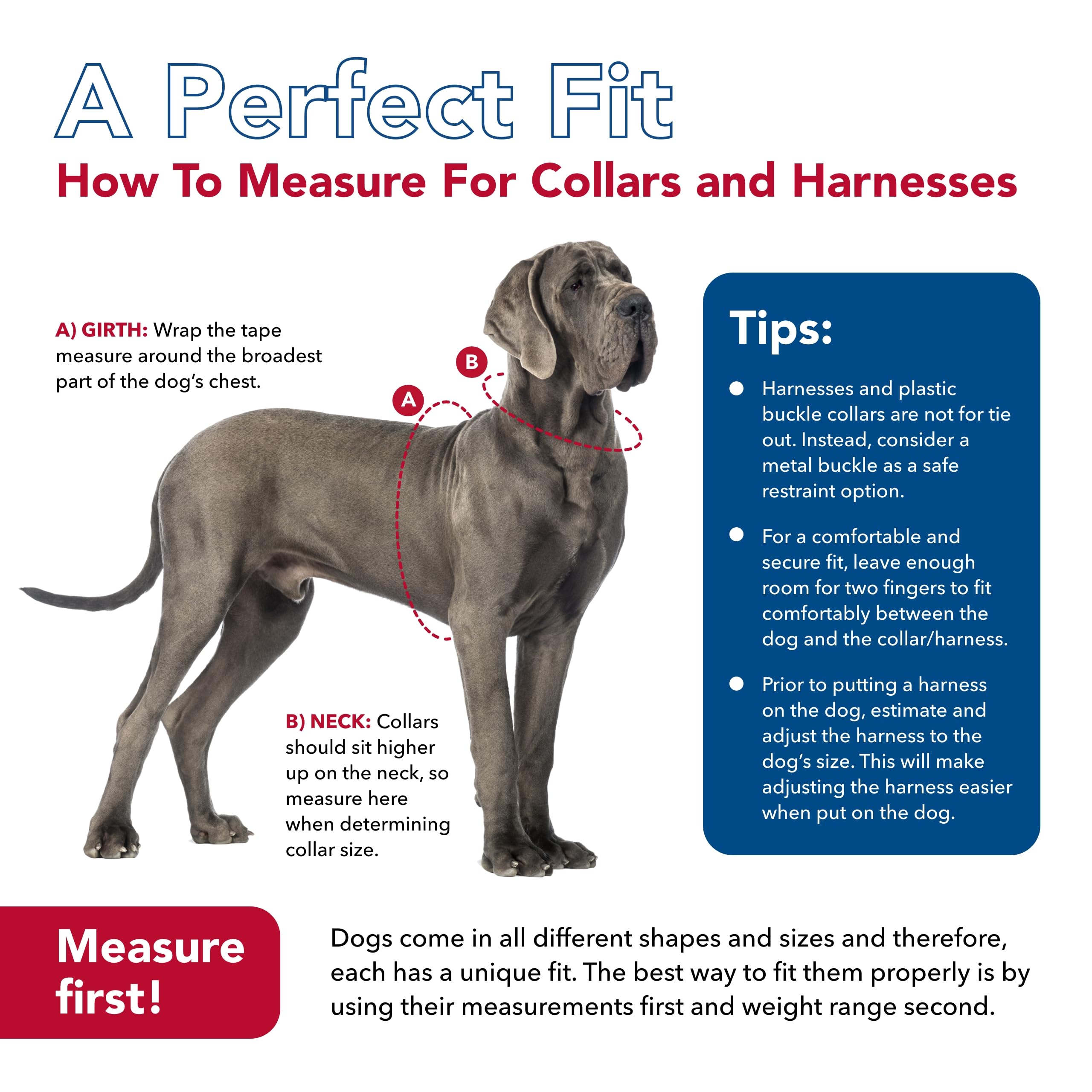 Coastal Pet - Ribbon - Adjustable Dog Collar With Metal Buckle, Brown Paws And Bones, 1' X 18'-26'