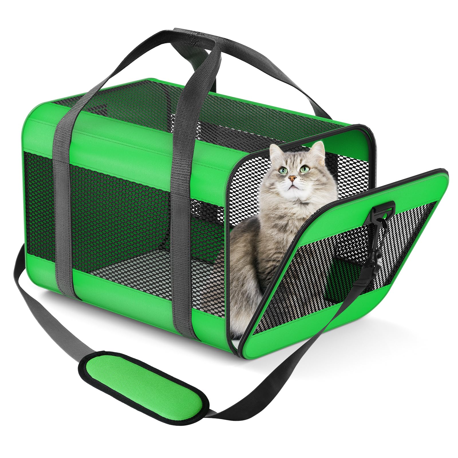 Prodigen Cat Carrier Dog Carriers for Small Dogs Soft Slided Airline Approved Collapsible Pet Travel Carrier, Small (16.3inch L x 1