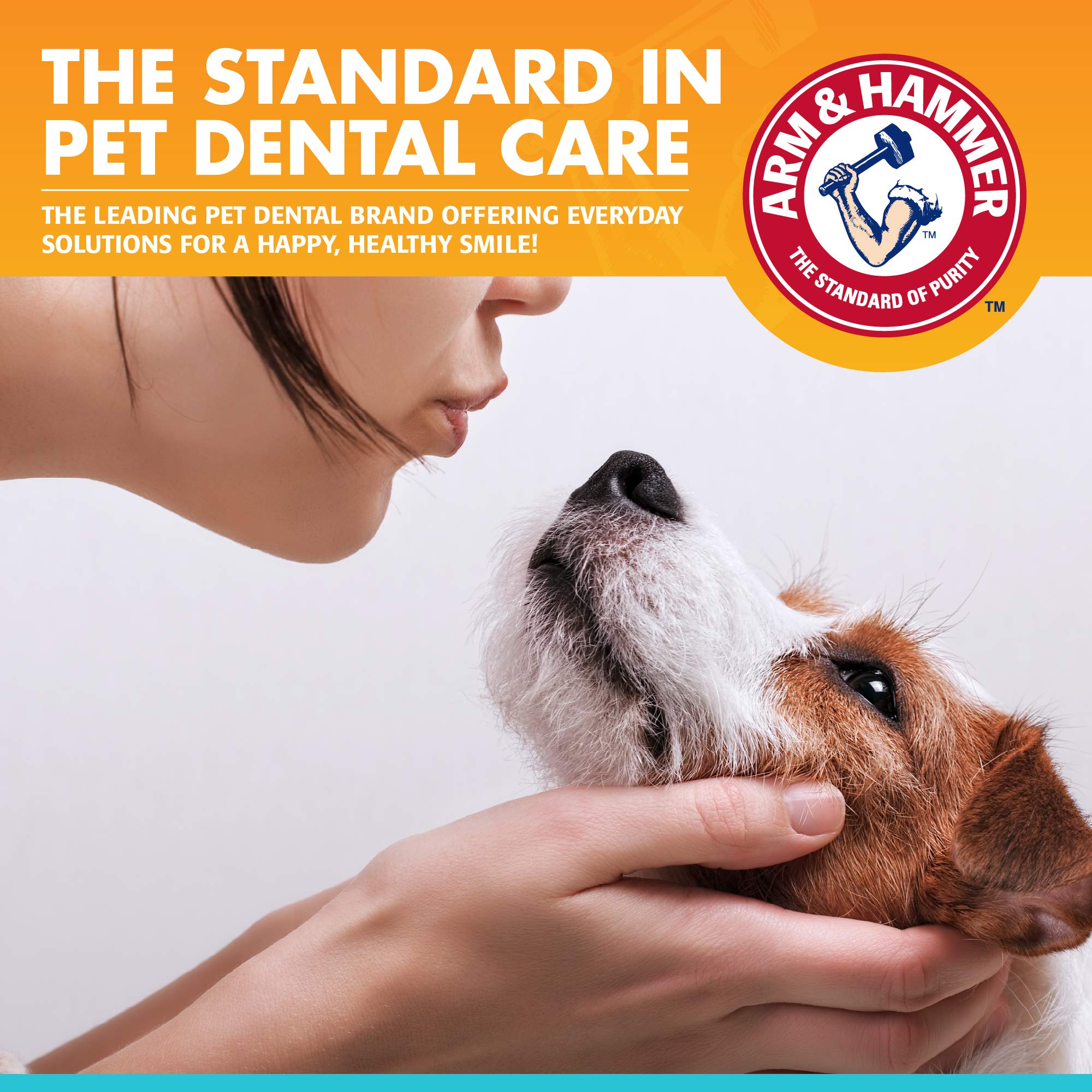 Arm & Hammer for Pets Clinical Care Dental Enzymatic Toothpaste for Dogs Soothes Inflamed Gums Safe for Puppies 1 Pack Fresh Bre