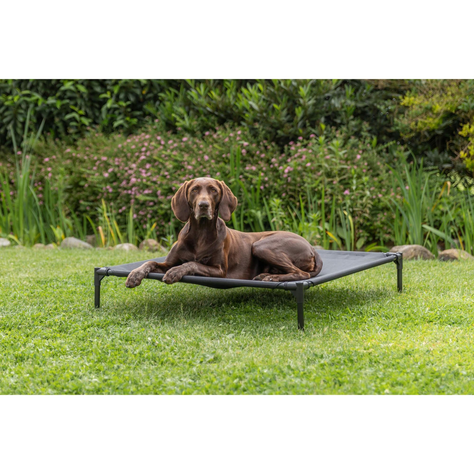 Trixie 2-In-1 Dog House And Bed - Elevated Indoor/Outdoor Tent With Removable Cover - Waterproof And Sun-Resistant - For Large D