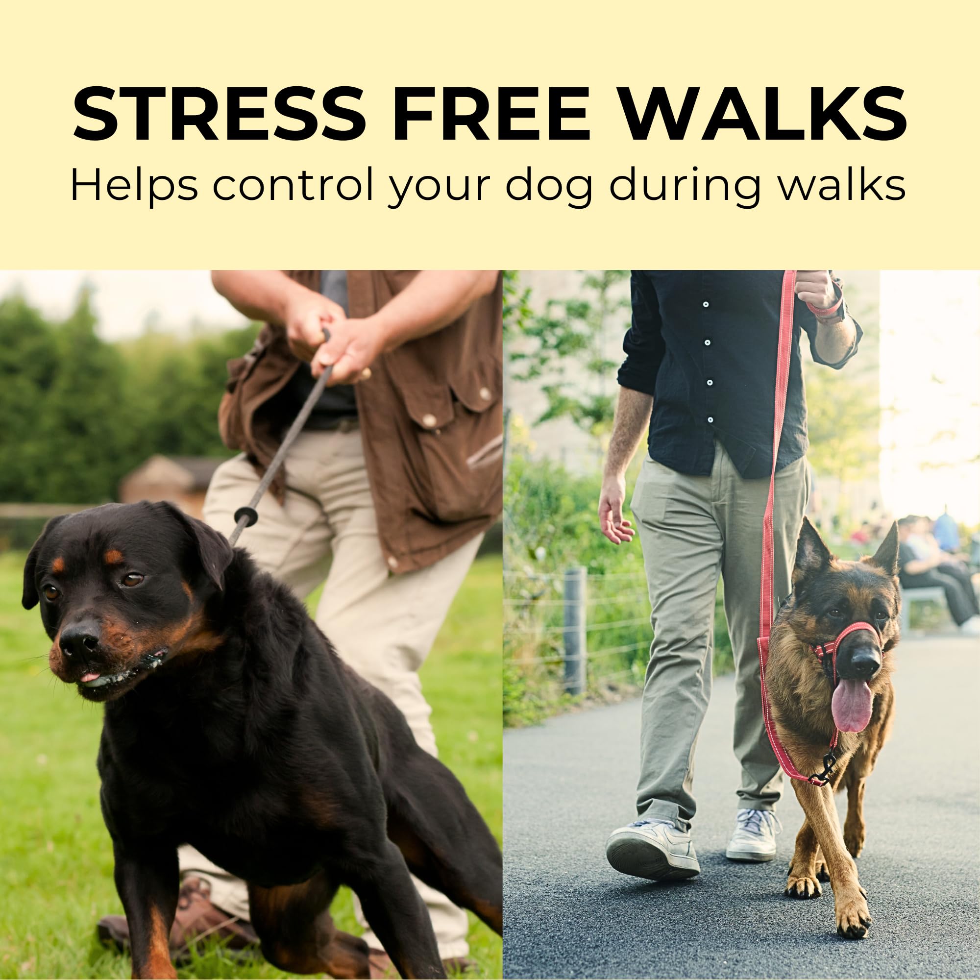 Zevey Adjustable Dog Head Halter With Safety Strap, Soft Padded Dog Head Collar For Small Medium Large Dogs, No-Pull Dog Harness