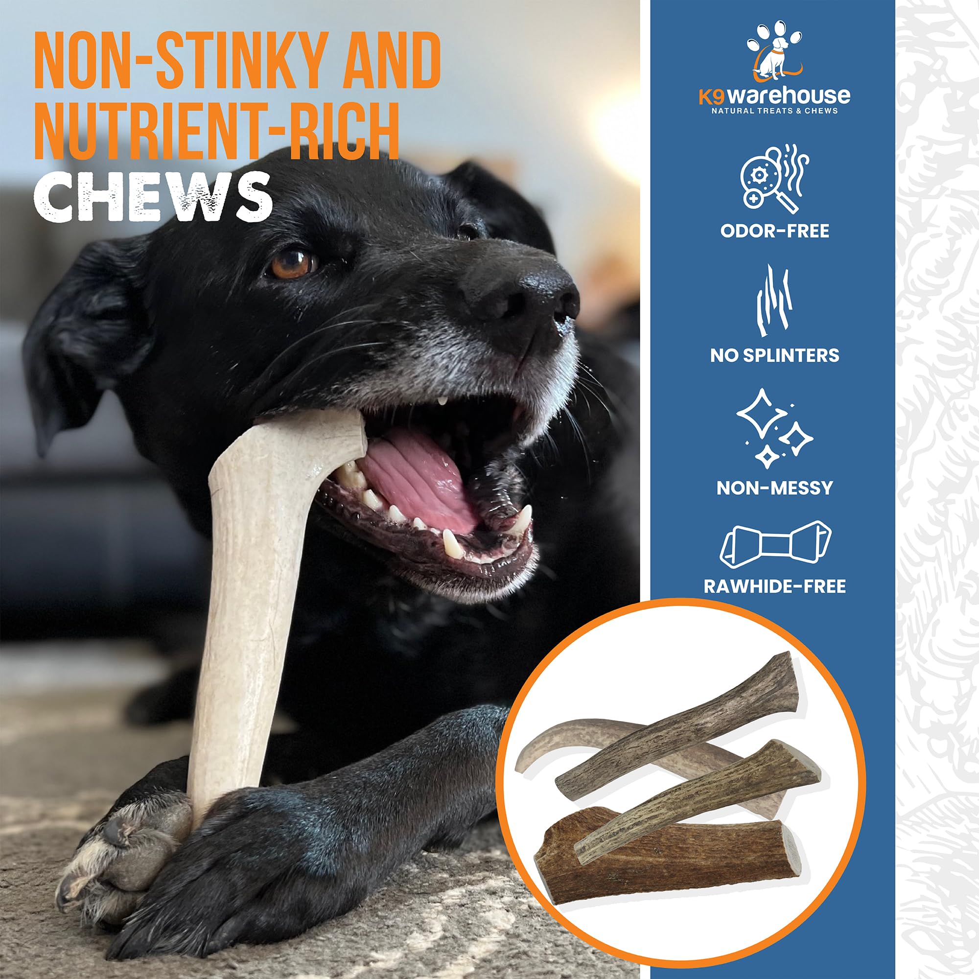 K9warehouse Natural Elk Antlers for Dogs - Premium Grade Dog Antler Chews - Long-Lasting Whole Deer Antles Ideal for Aggressive