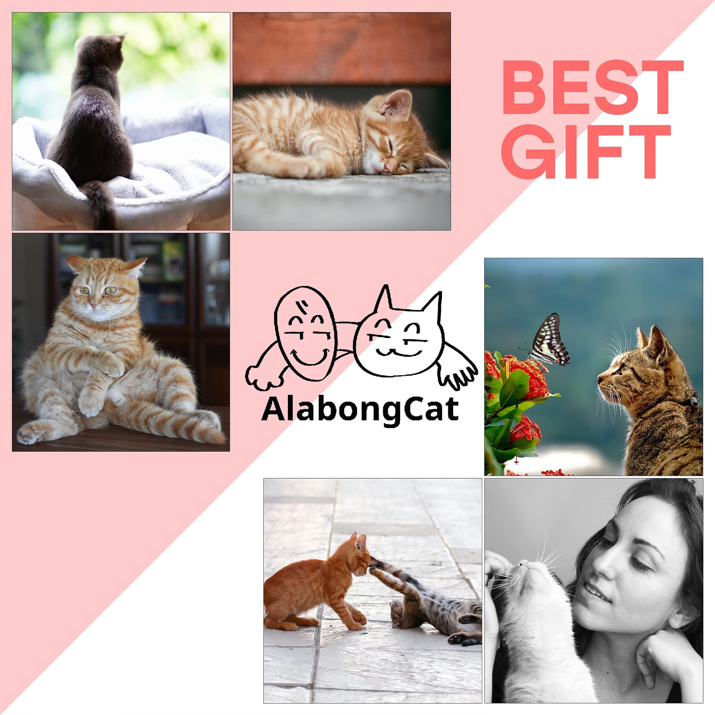 AlabongCat, Interactive Cat Toy, A Chicken Catnip Toy and Pink & Green Plush Cat Teaser Wand Toys - Funny, Entertaining, and Sti