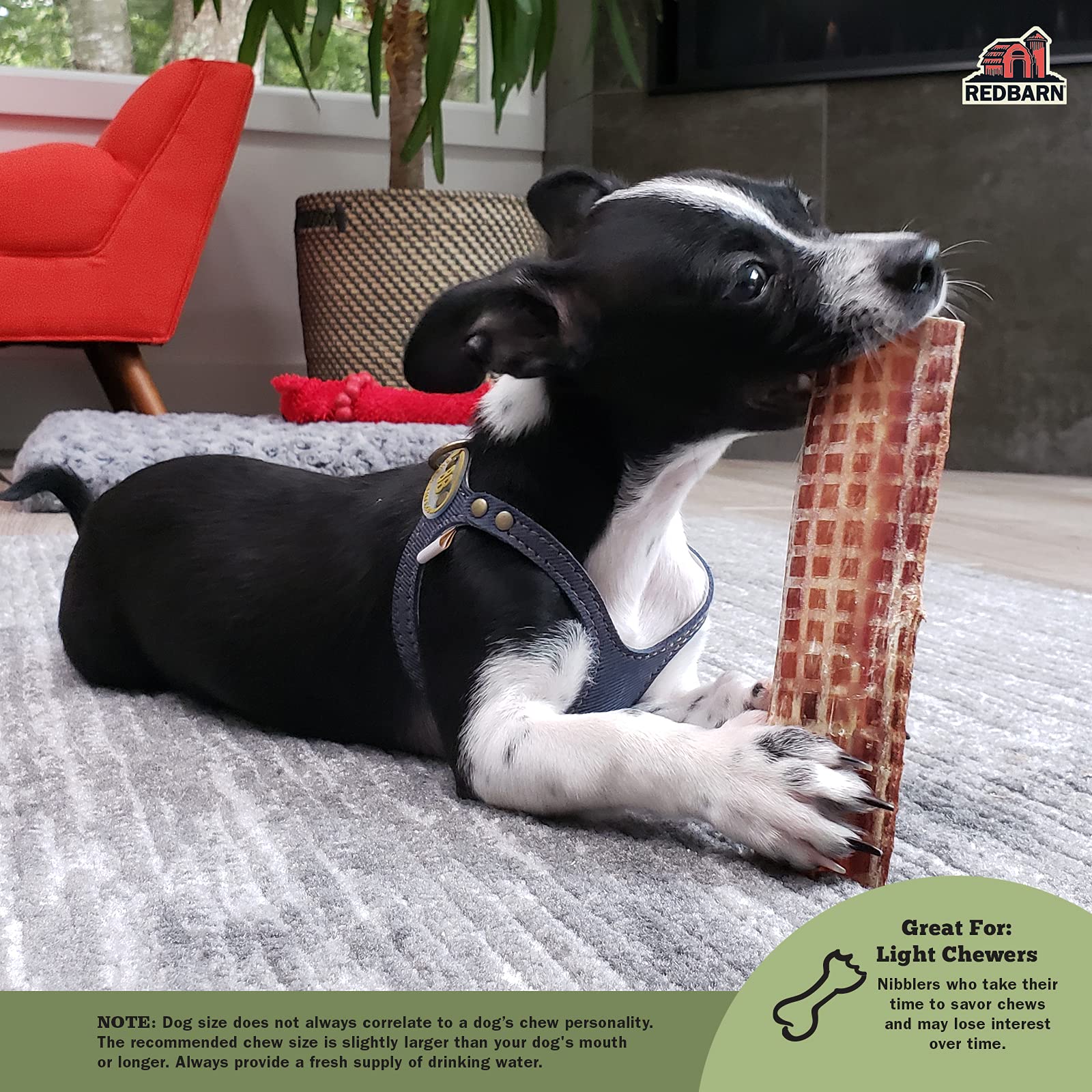 Redbarn All-Natural Barky Bark Beef Jerky for Dogs - Medium 4-5 Strips - Premium Grain-Free & Rawhide-Free Treats w/Chondroitin