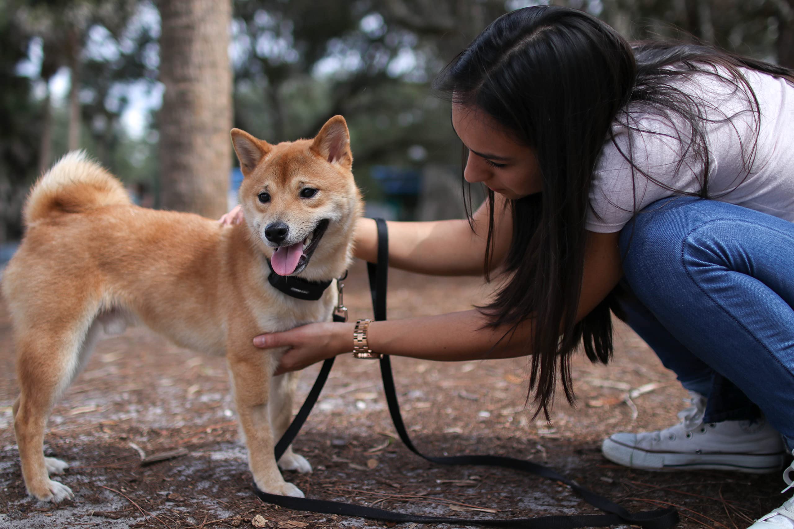 Good Life, Inc. Barkwise Complete | No Shock Pet Collar | Dog Bark Collar | Humane Training Collar | No Bark Collar | Pocket-Size Remote Included | Weather Resistant Black