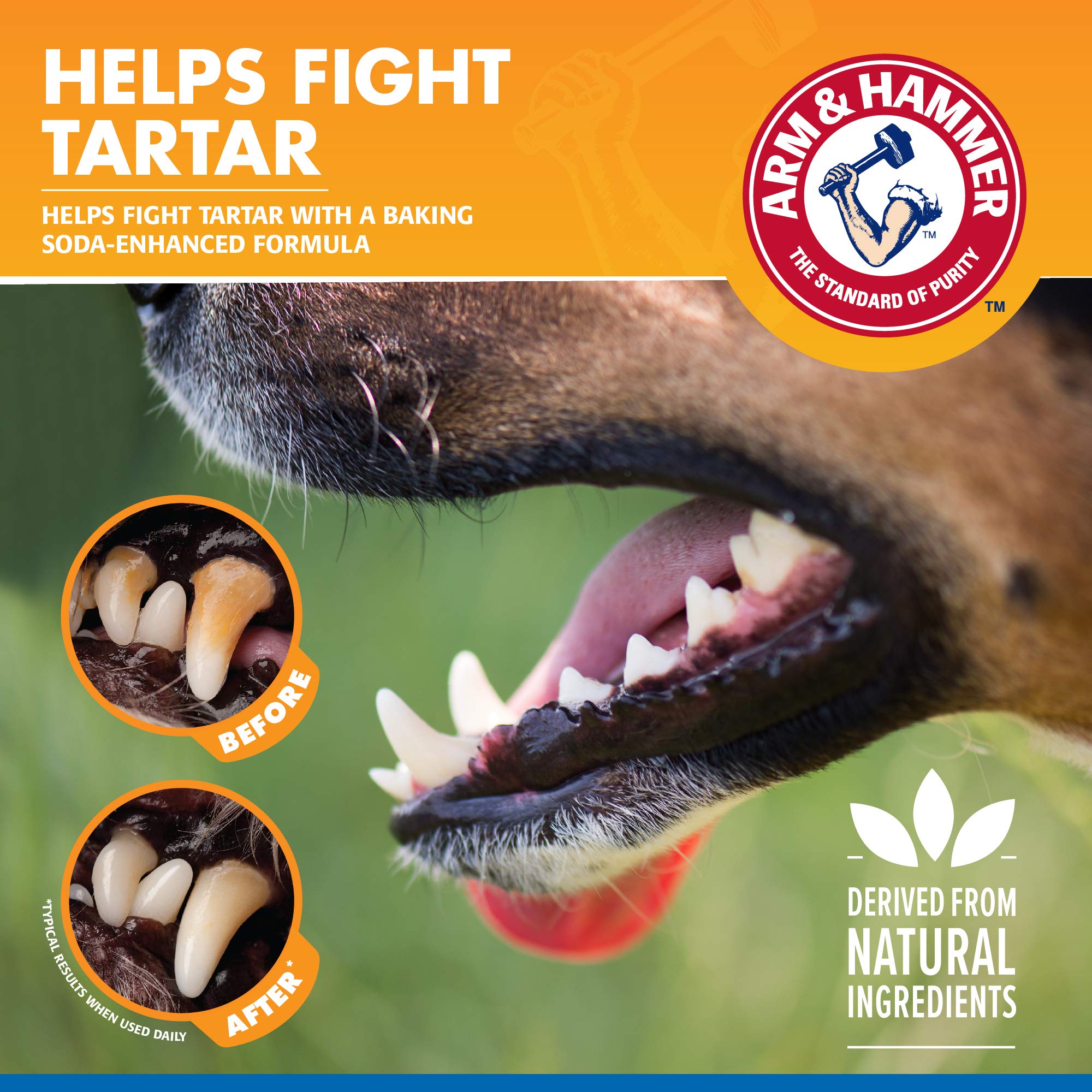 Arm & Hammer for Pets Tartar Control Dental Spray for Dogs | Dog Dental Spray Reduces Plaque & Tartar Buildup Without Brushing |