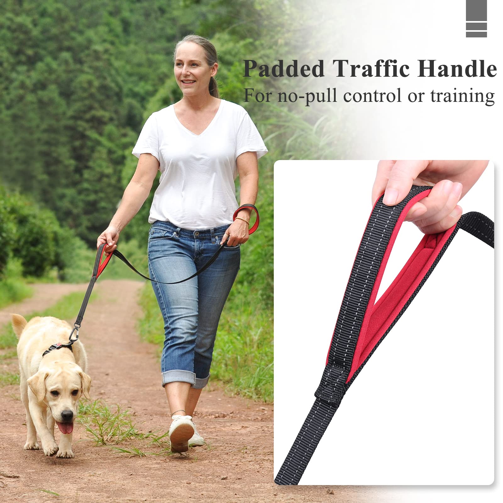 Vivaglory Dog Leash With Lightweight Aluminum Clasp & 2 Padded Handles, 6Ft Nylon Dog Leash Lead Heavy Duty Safety No Pull Climb