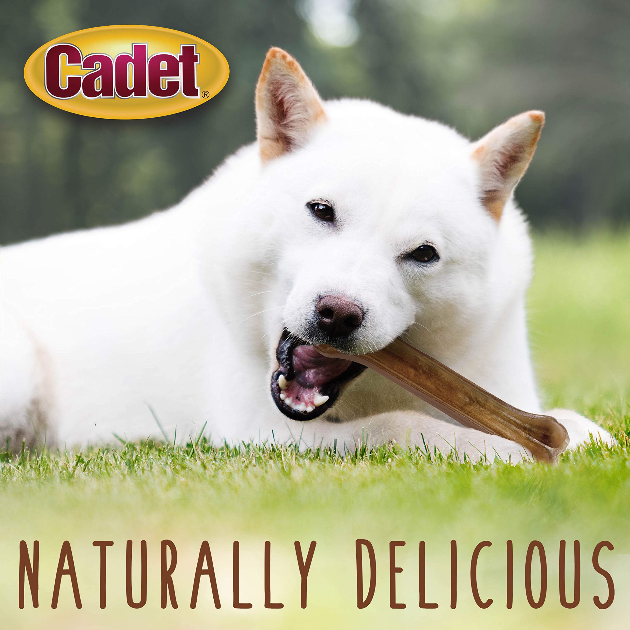 Cadet Premium Grade Pressed Beef Hide Bones 10 Inch, 1 Pack