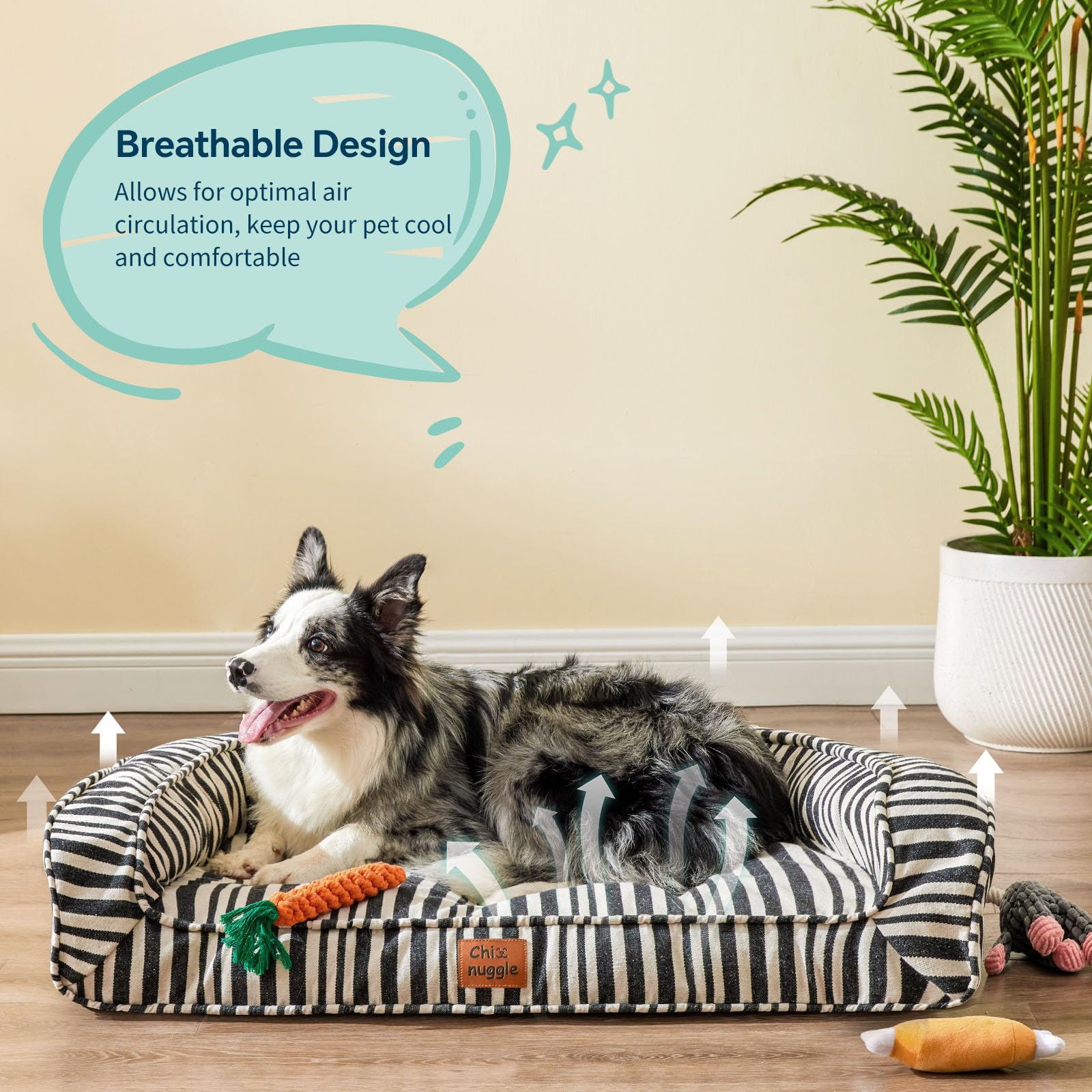 Chixnuggle Dog Bed For Large Dogs, Waterproof Canvas Striped Big Pet Bed With Washable Removable Cover, 36X27X7Inches (Size L)