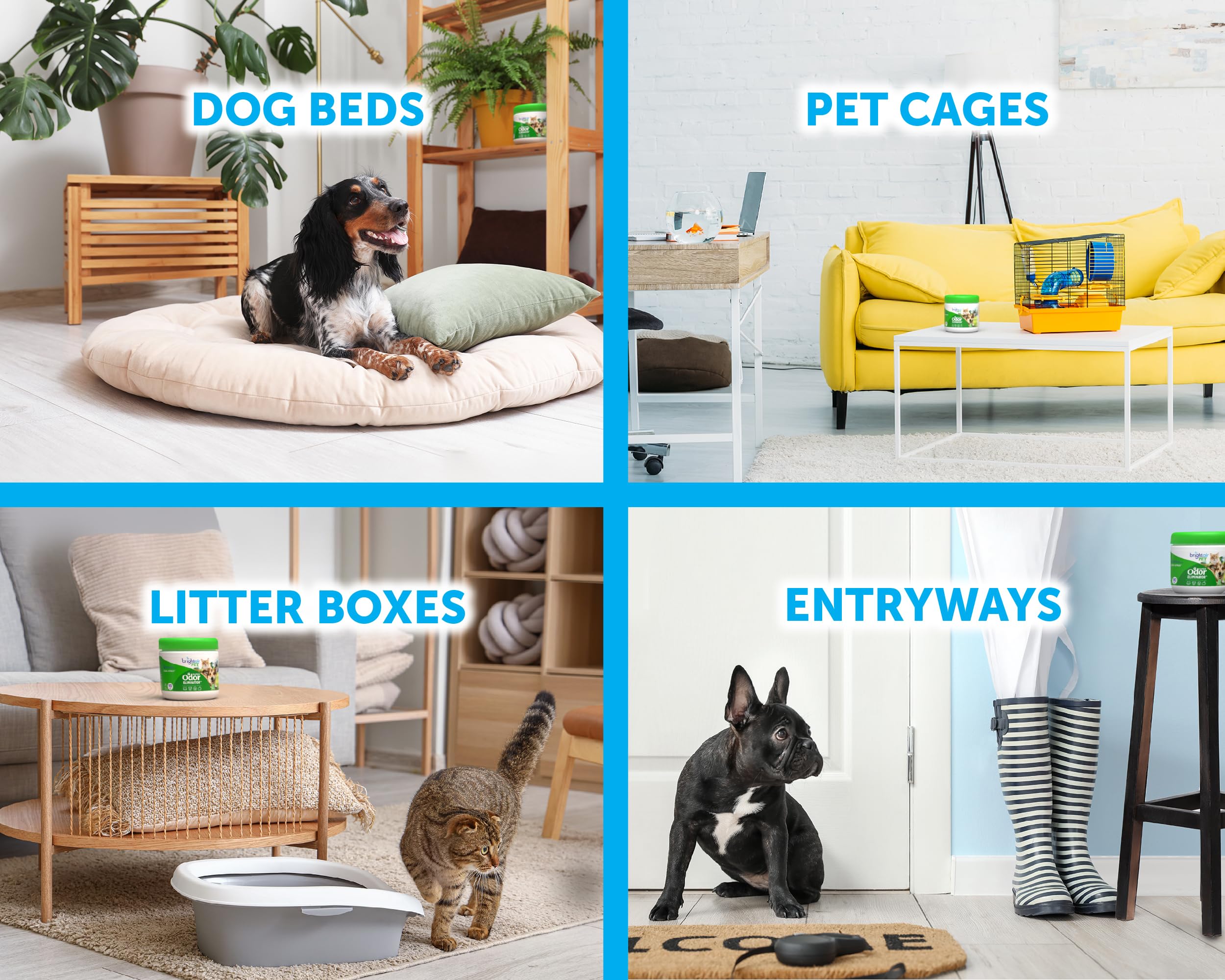 Bright Air 14 Oz. Super Odor Eliminator, For Medium-Size Spaces, Cool Citrus Scent, Case Of 6, Air Freshener, Natural Essential