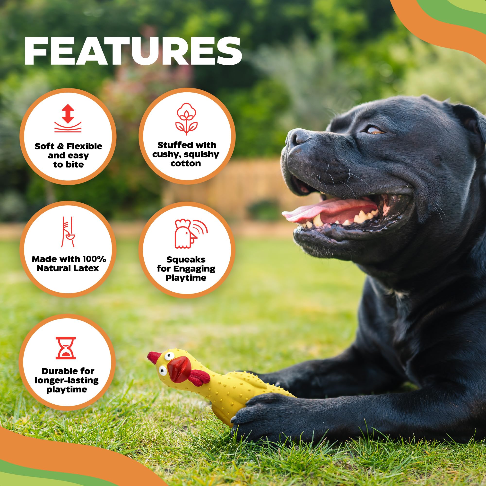 Baba Buddies 100% Natural Latex Squeaky Dog | Durable Rubber Chicken Chew Toy for Small & Large Dogs | Funny Screaming Chicken |