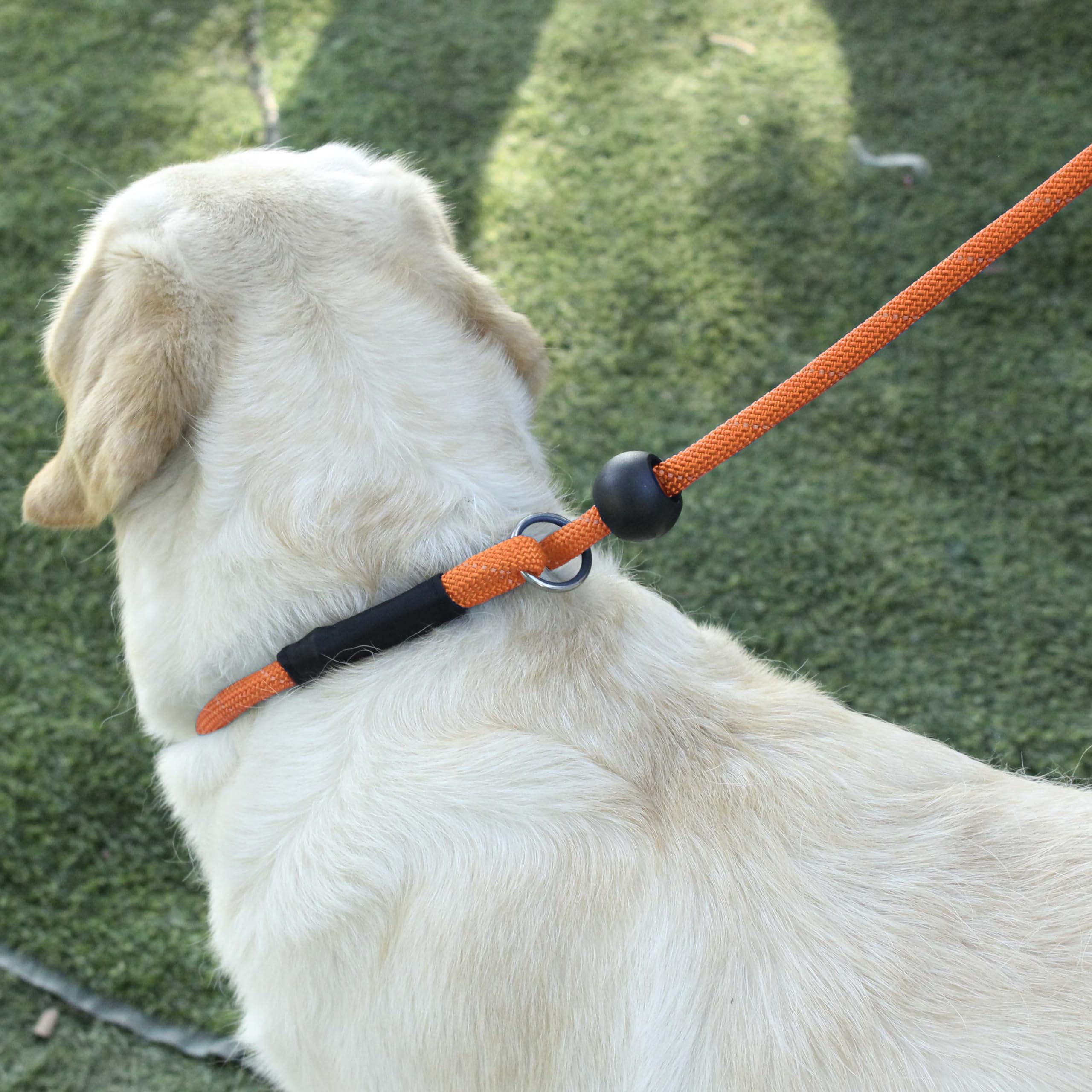 Hiado Slip Lead Dog Leash Reflective With Stopper Loop Rope Training No Pull For Small Medium Large Dogs 7Ft Orange