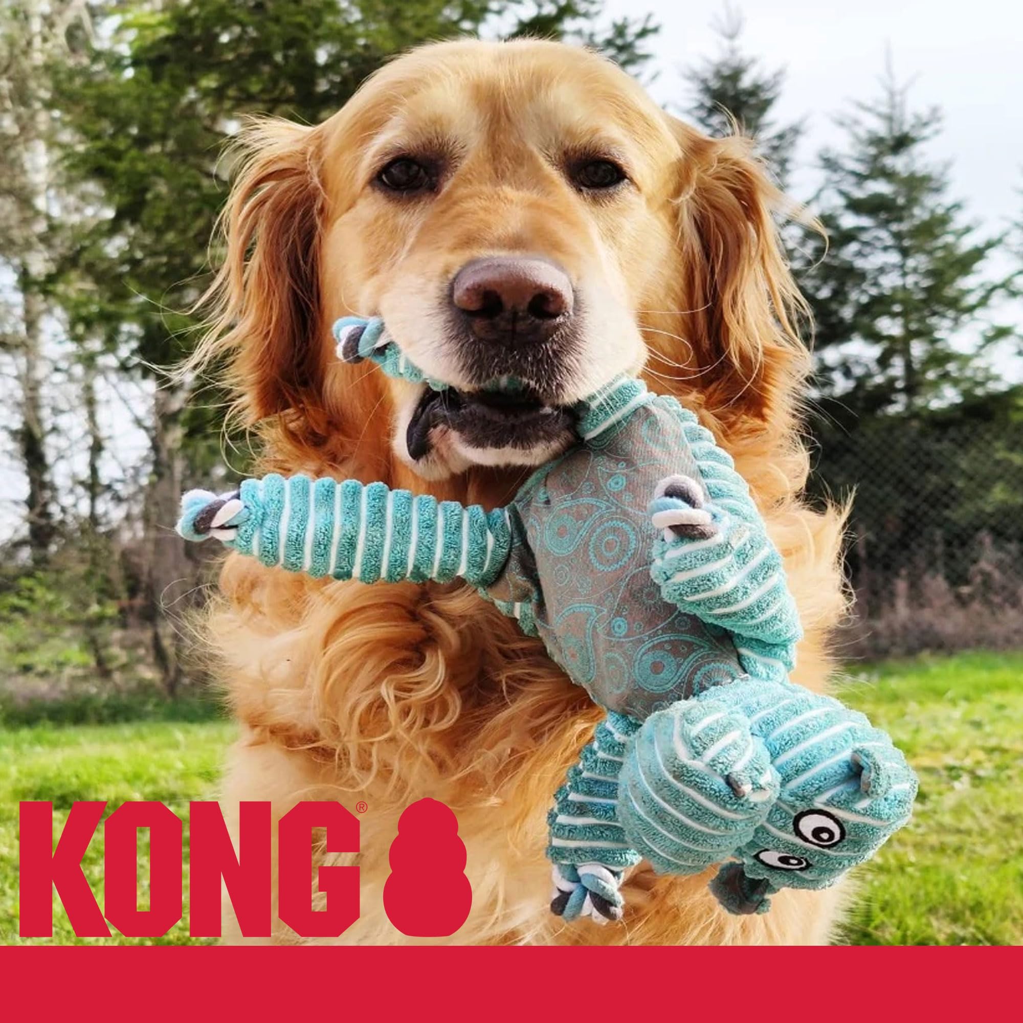Kong Floppy Knots Combo Dog Toy - Hippo And Elephant Bundle - Interal Knotted Rope With Squeakers And Less Stuffing - Medium/Lar