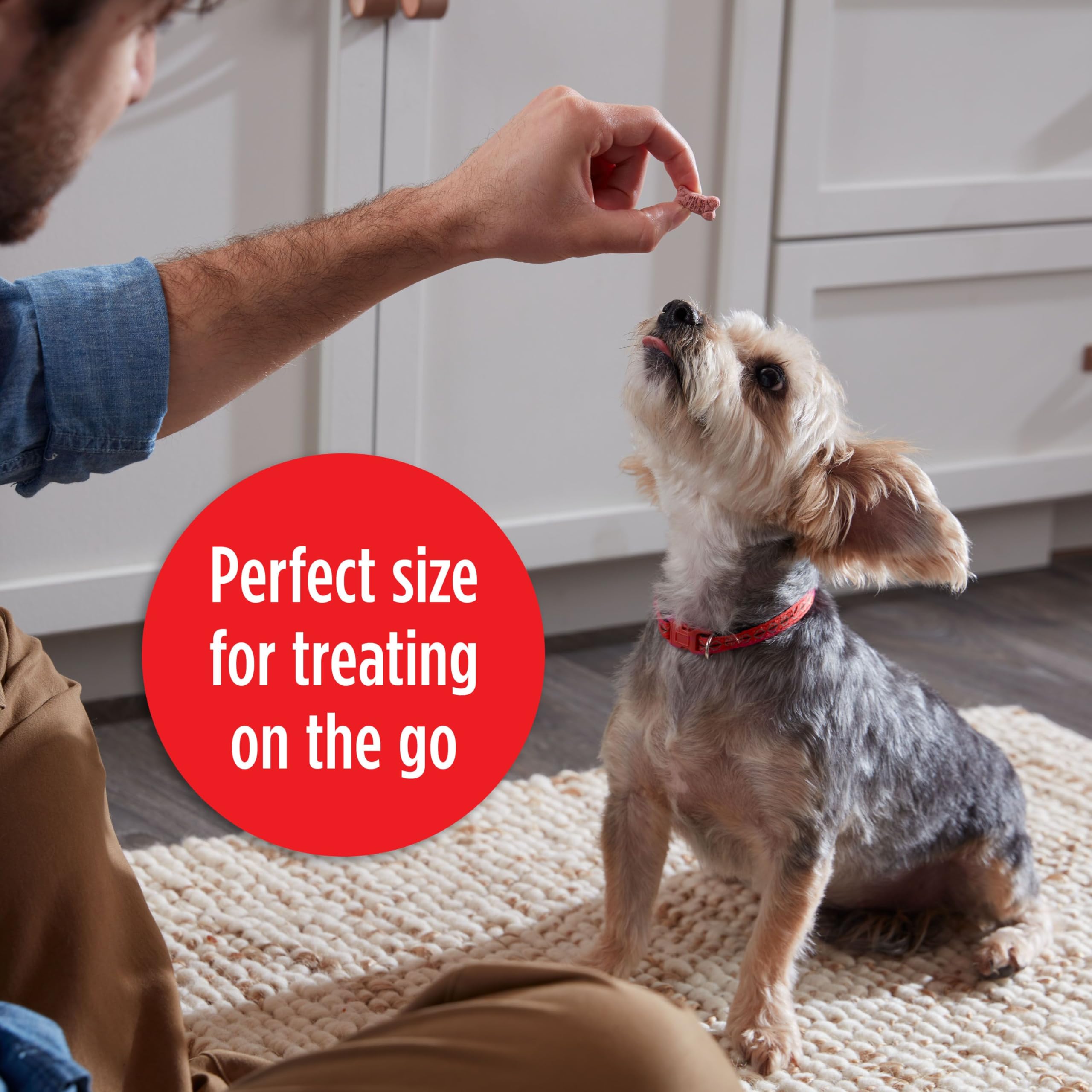 Milk-Bone Mini s Flavor Snacks Dog Treats, 2.5 Ounce (Pack of 20), Perfect for Walks, Travel Size, Party Favor