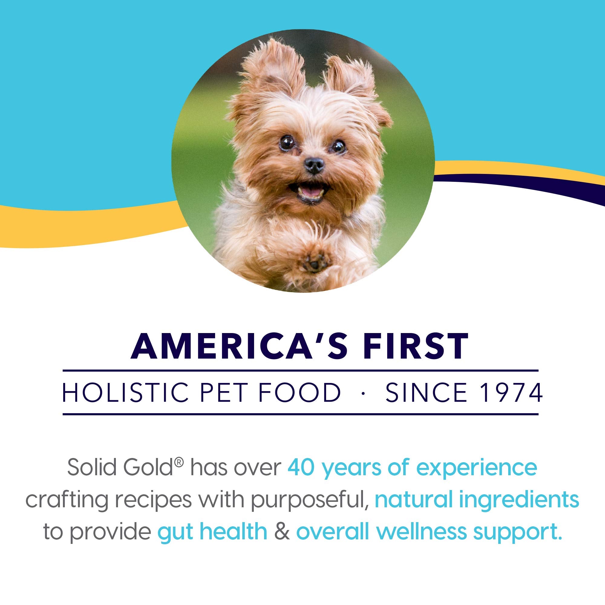 Solid Gold Wet Dog Food for Small Dogs - Grain Free Chicken, Chickpea & Pumpkin - 12 Pack - Model 32203
