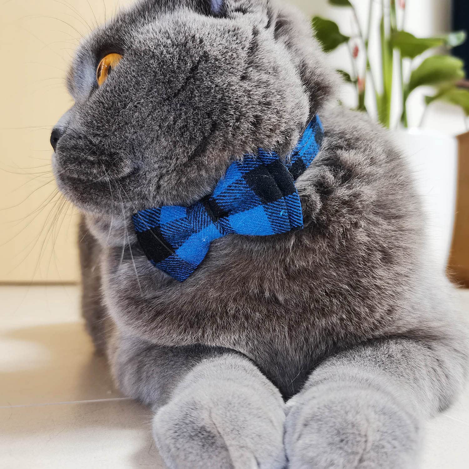 Cat Collar Breakaway With Bell And Bow Tie, Plaid Design Adjustable Safety Kitty Kitten Collars(6.8-10.8In) (Blue Plaid 3)
