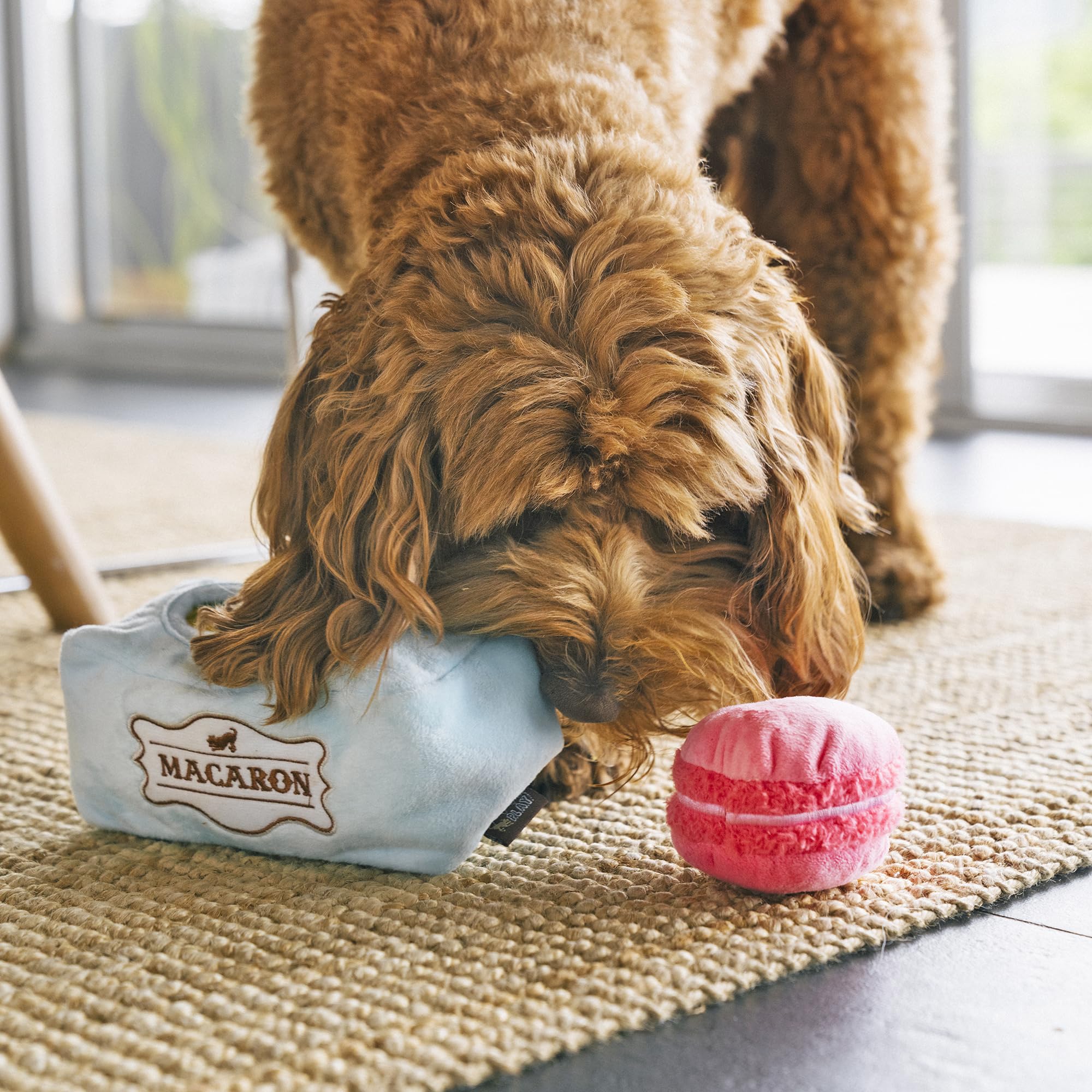 P.L.A.Y. Cute Plush Dog Toys - Coffee Shop Food Themed Durable Squeaker Chew Toy, Great for Puppies & Small, Medium, Large Dog B