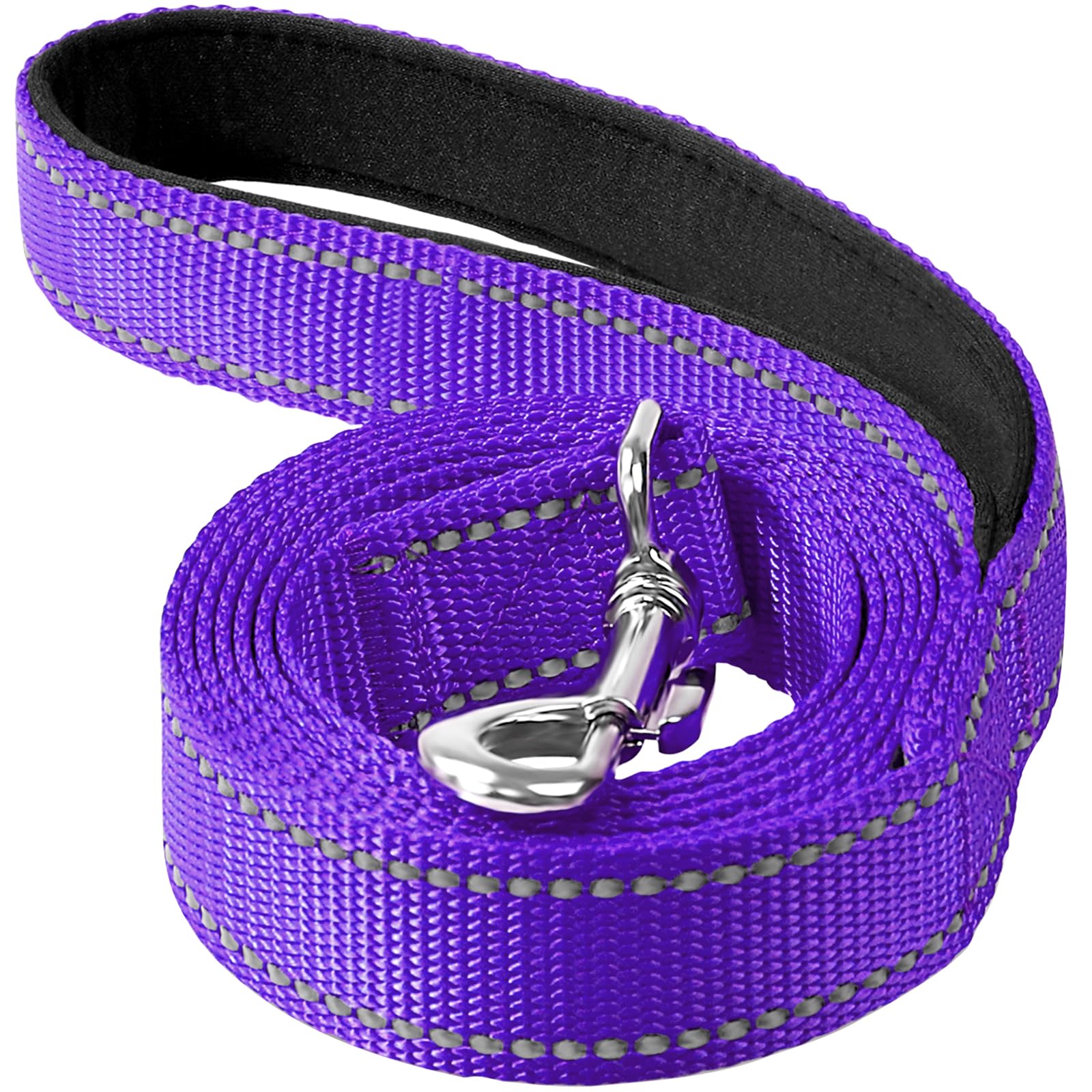 Erbine 4FT Reflective Nylon Dog Leash with Soft Padded Handle for Walking, Running and Training, Supports Small Medium and Large