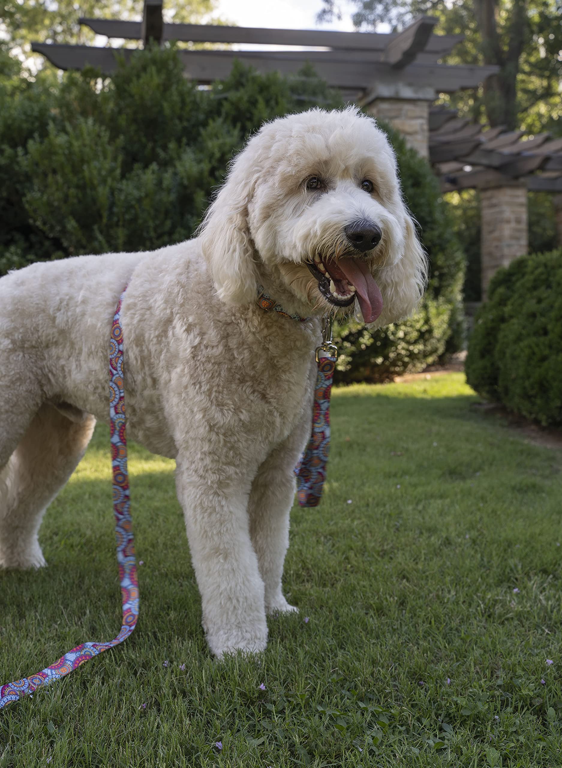 Country Brook Petz - Sky Mandala Martingale Dog Collar - Groovy Collection Featuring Far Out Designs (1/2 Inch, 2XS)