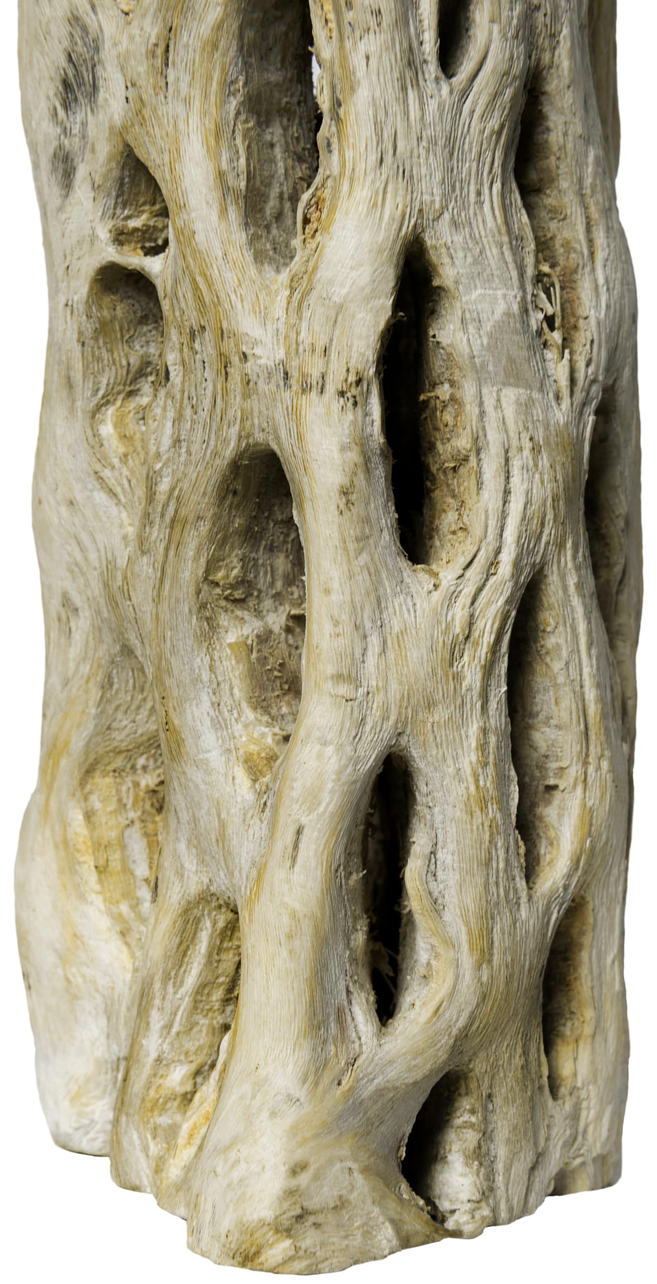 Galapagos 05270 Cholla Wood for Aquarium ,(pack of 3)