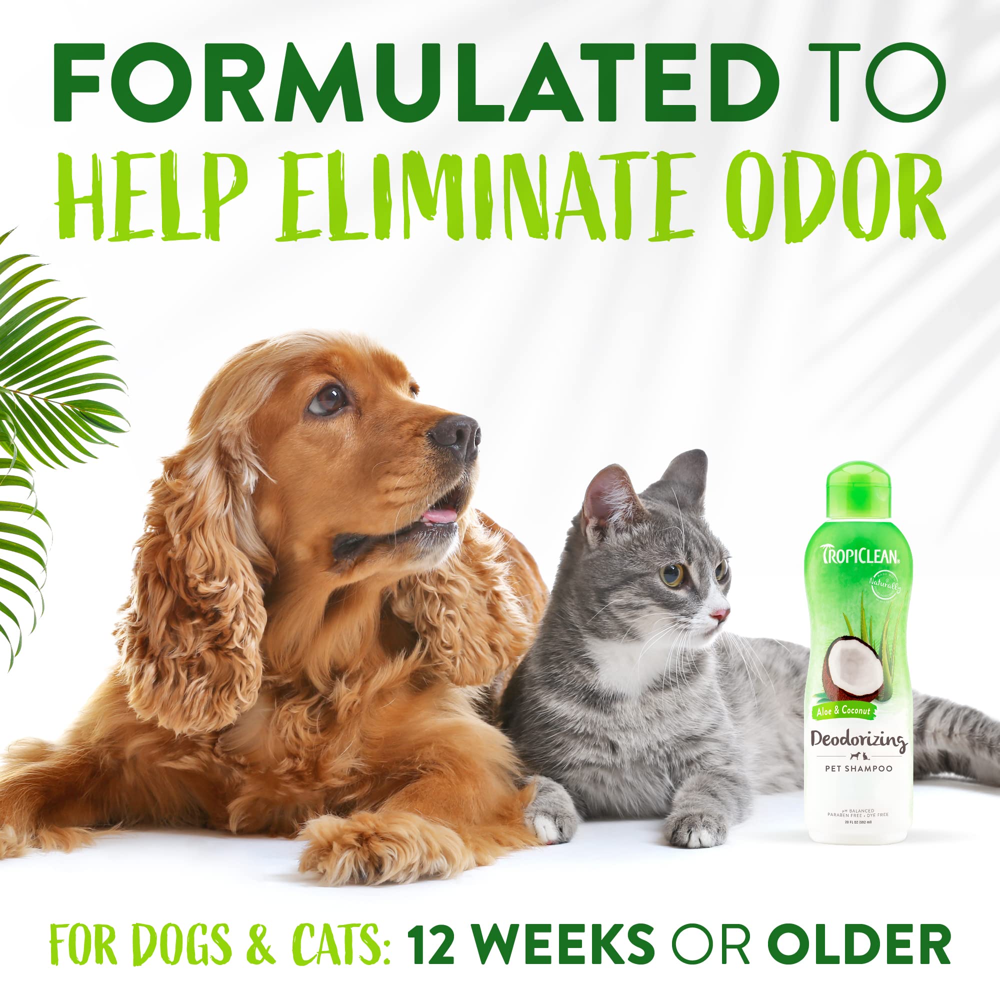 Tropiclean Aloe & Coconut Deodorizing Dog Shampoo For Smelly Dogs | Odor Control Shampoo For Stinky Dogs | Natural Pet Shampoo Derived From Natural Ingredients | Cat Friendly | Made In The Usa | 20 Oz