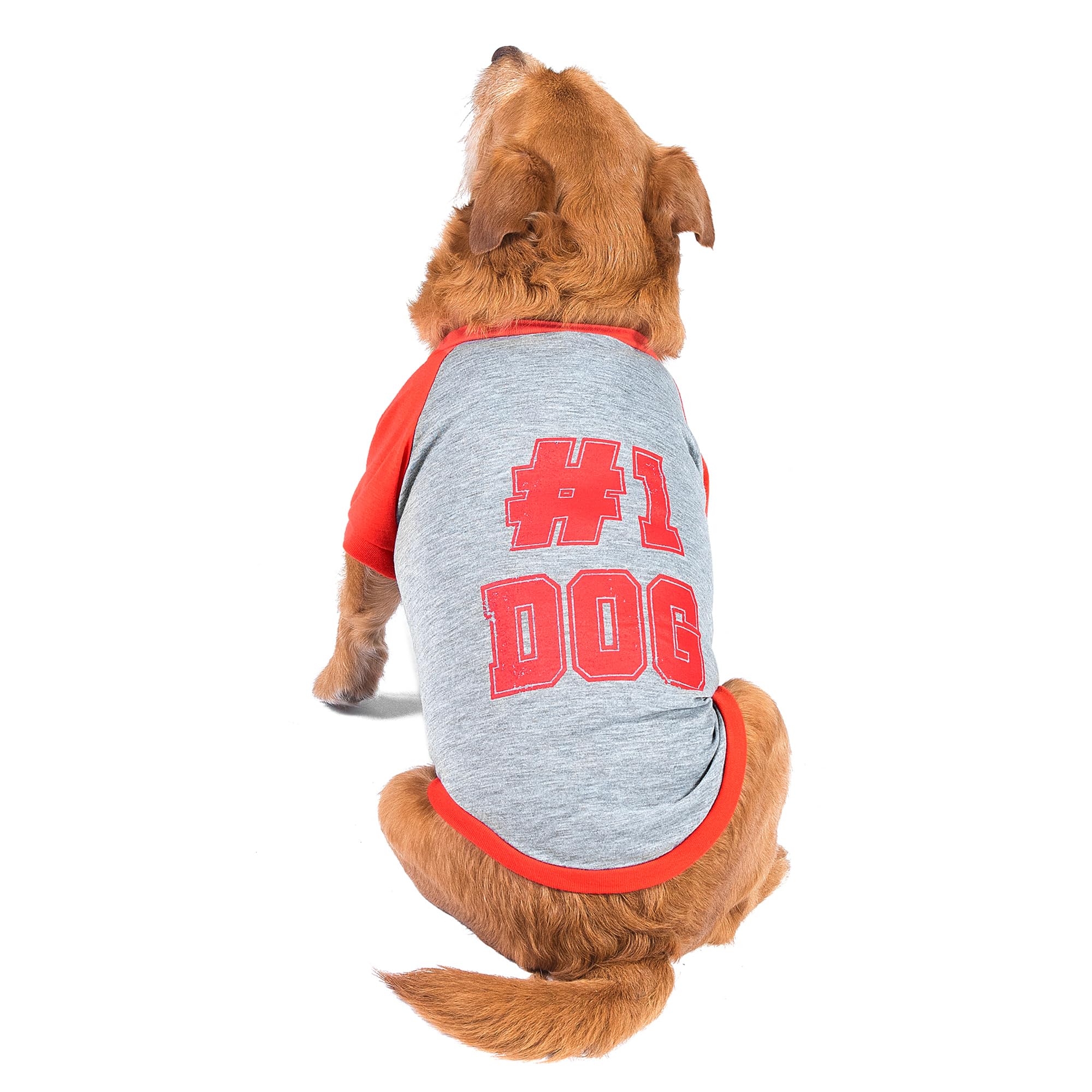 The Dodo #1 Dog T-Shirt for Dogs, Size Medium; Black Dodo Print, Everyday Apparel for Dogs, Cute Dog Tee, Cute Clothes for Dogs,
