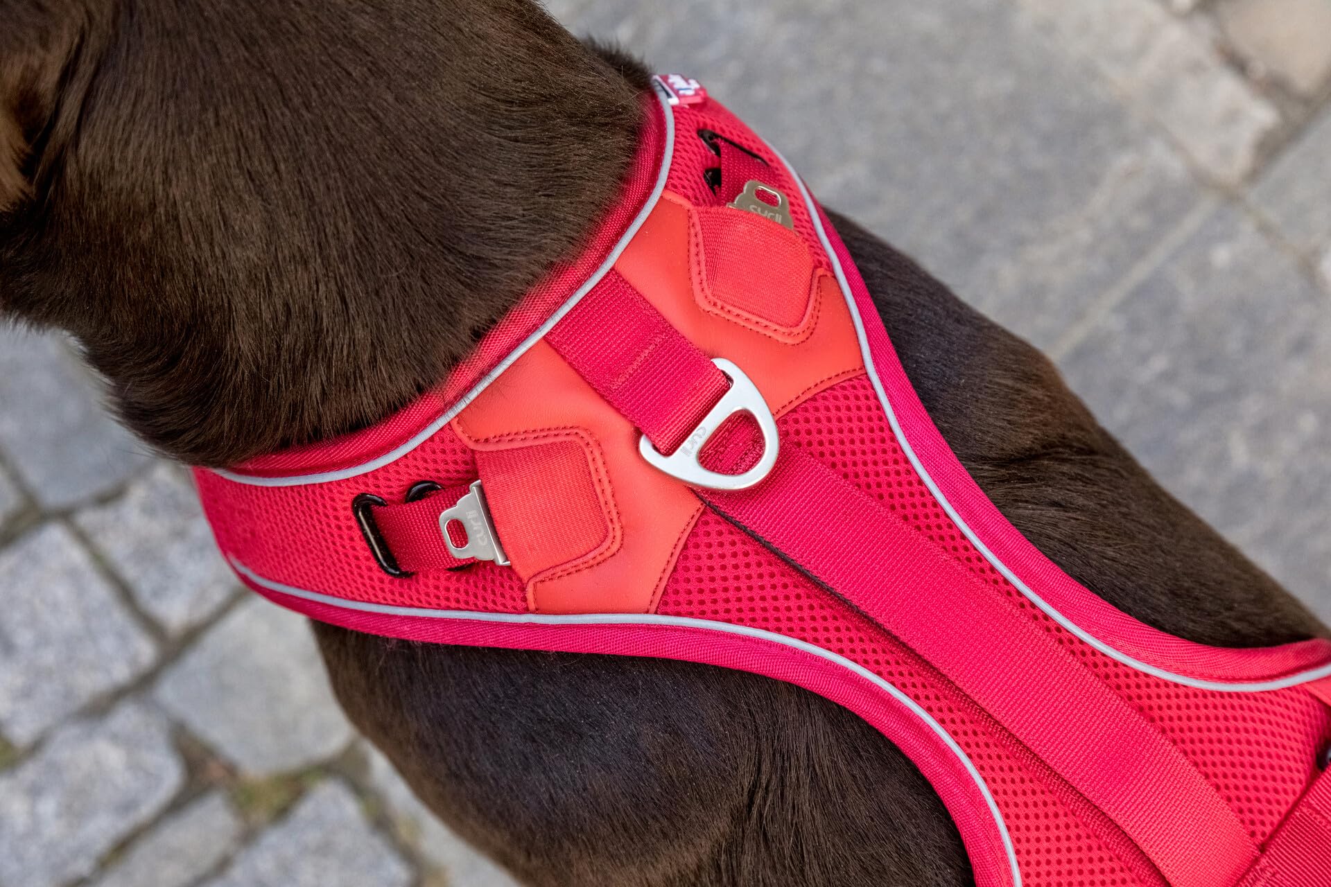 Curli Belka Harness Custom-Fit Big Dog Harness Dog Harness Adjustable Choke-Free Reflective Vest for Large Dogs Brown XL